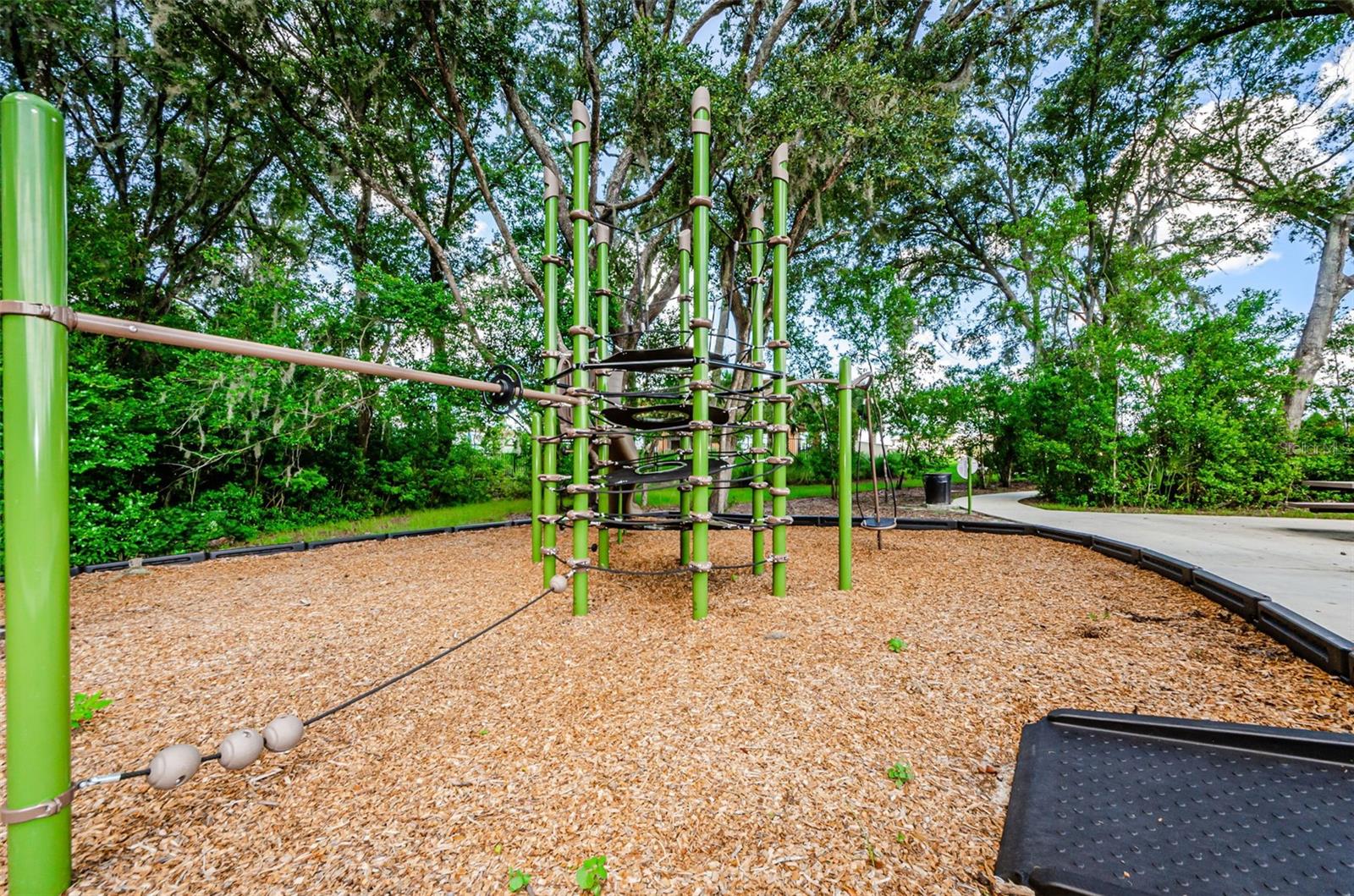 6780 Emerald Spring Loop Property Photo 75
