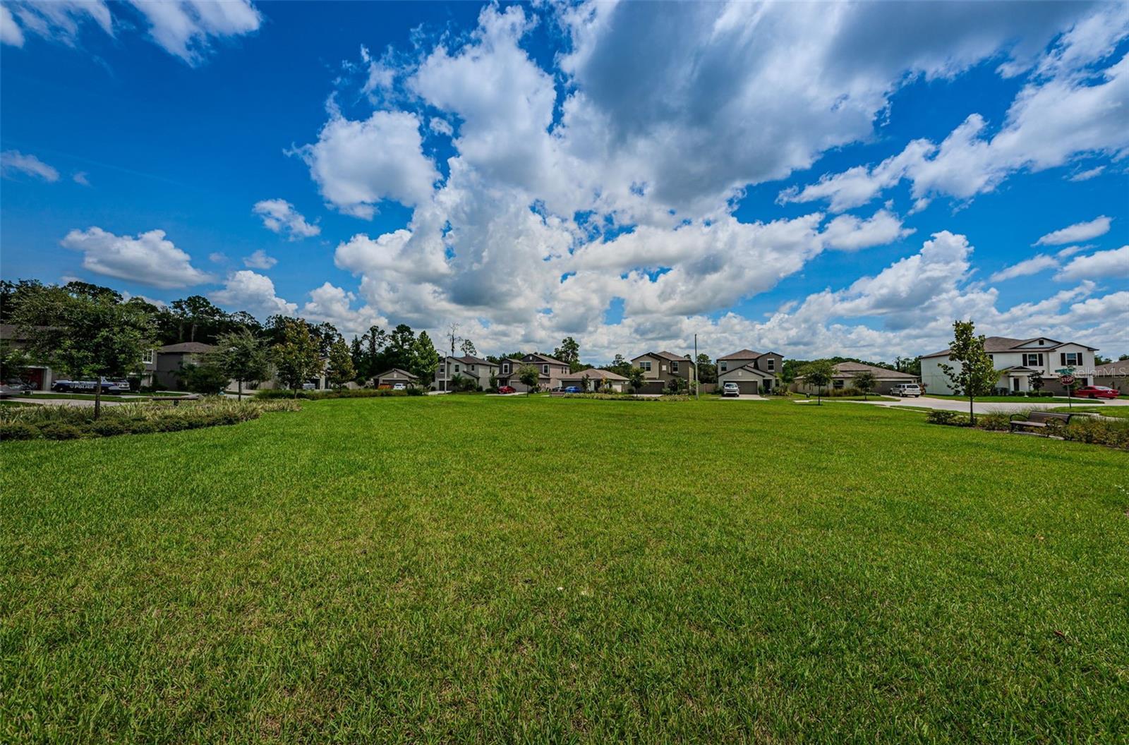 6780 Emerald Spring Loop Property Photo 77