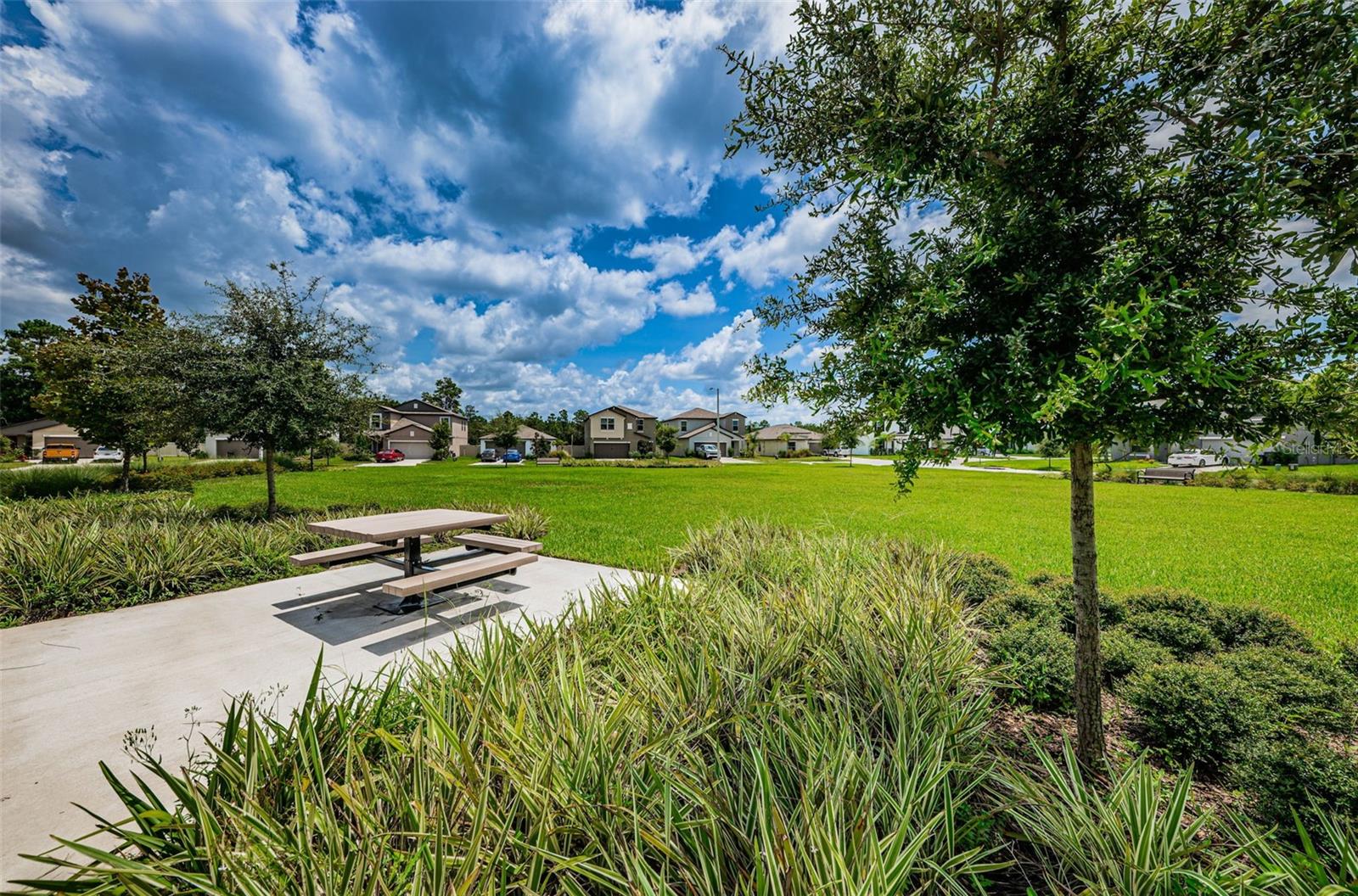 6780 Emerald Spring Loop Property Photo 78