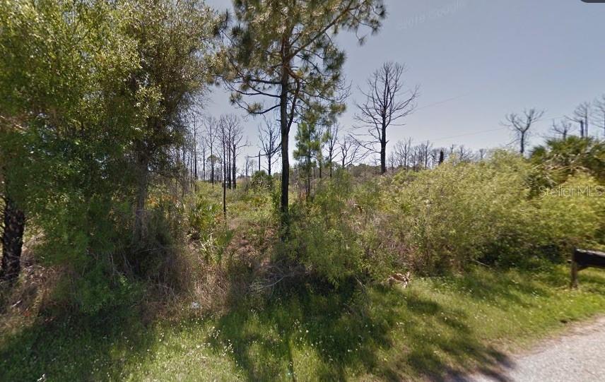 12327 Tranter Ave Property Photo 2