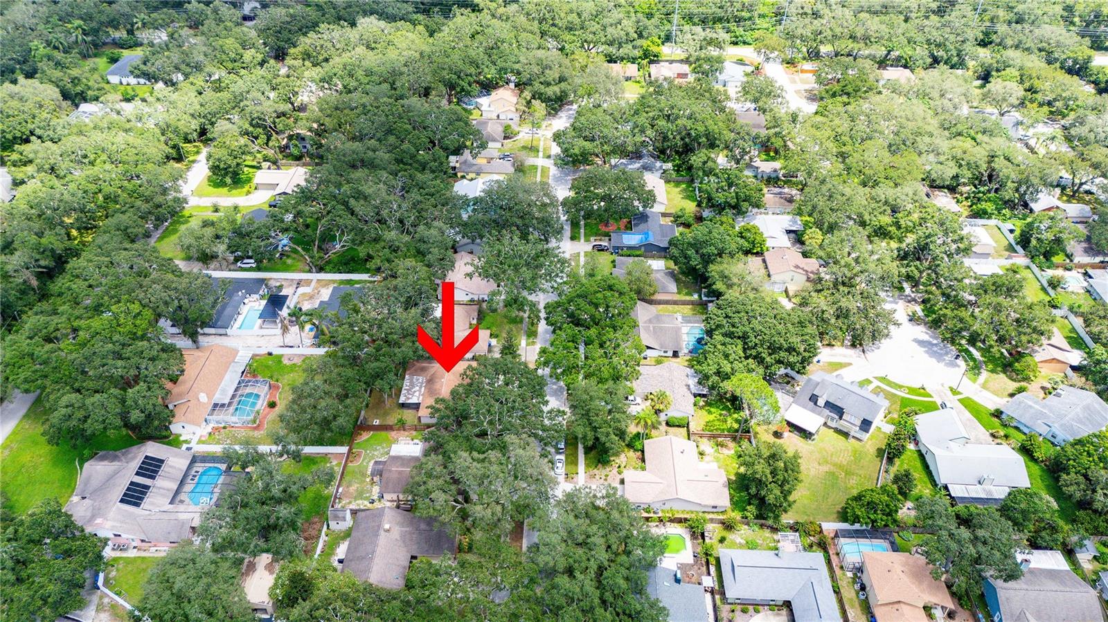 2423 Forrest Crest Cir Property Photo 43