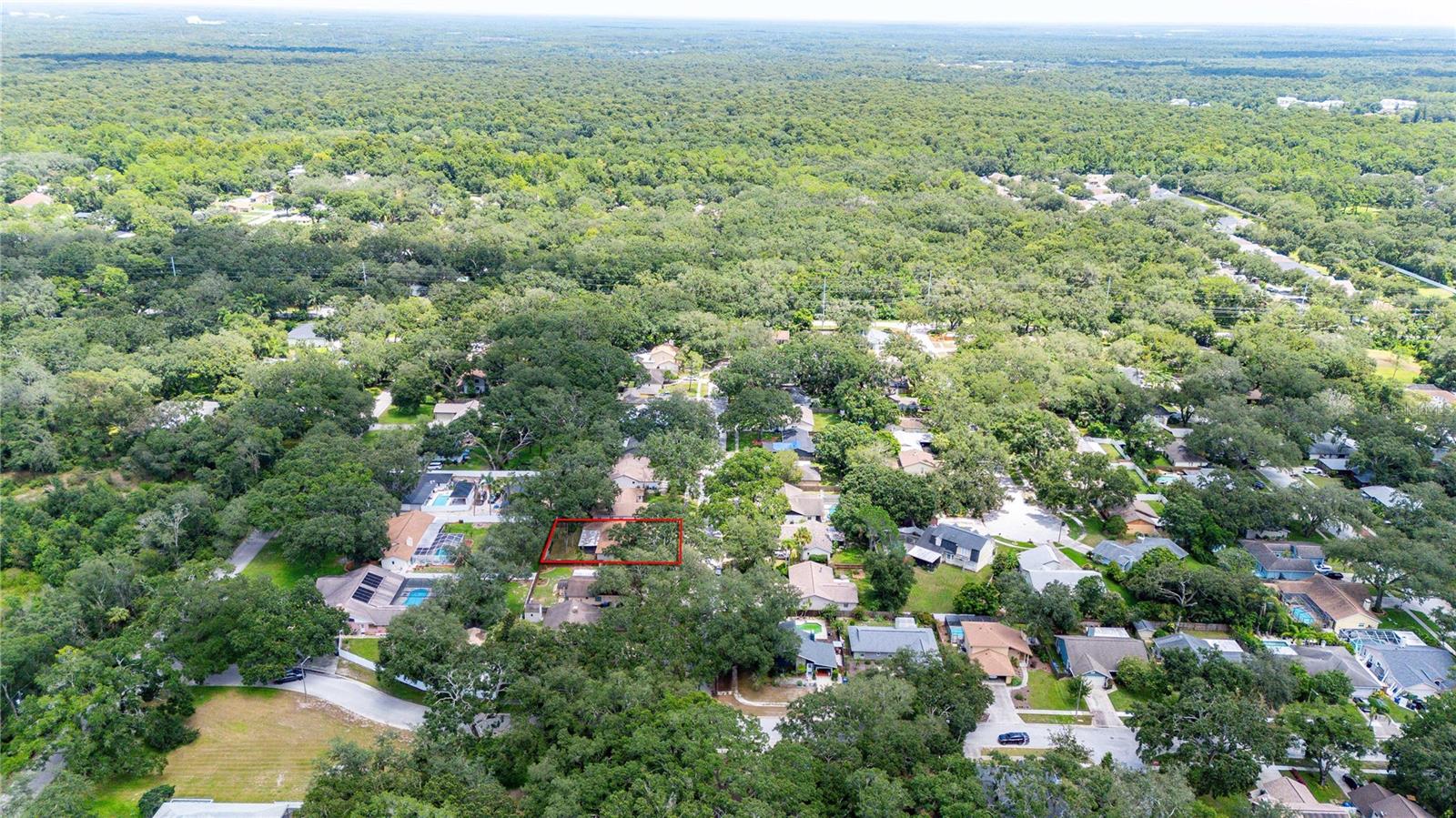 2423 Forrest Crest Cir Property Photo 44