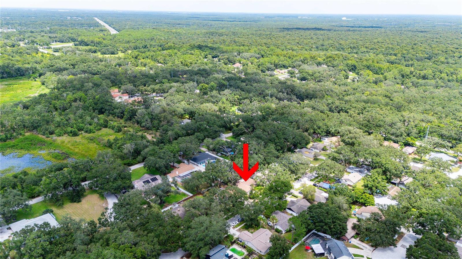2423 Forrest Crest Cir Property Photo 45