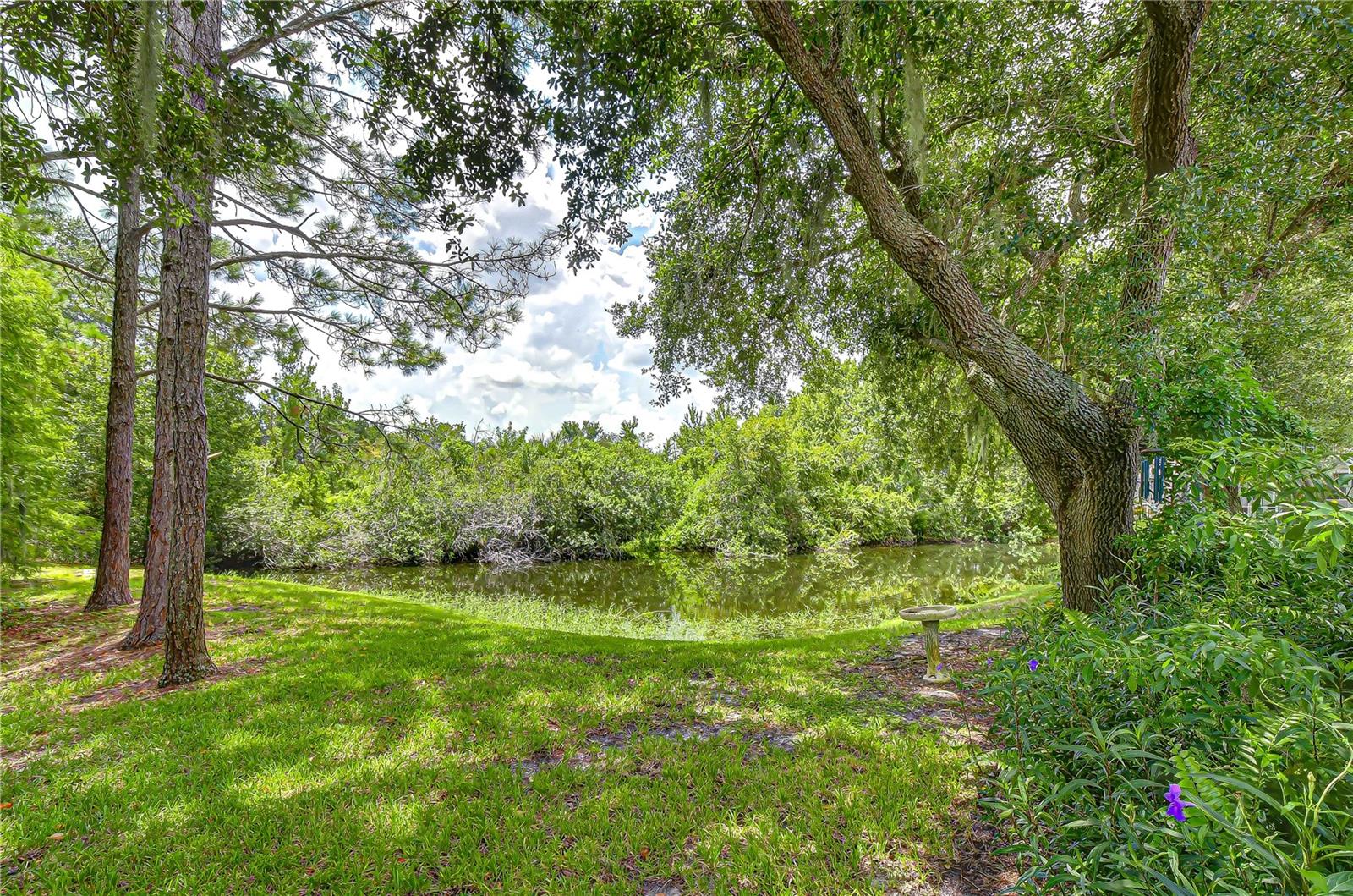 6026 Sandhill Ridge Dr Property Photo 18