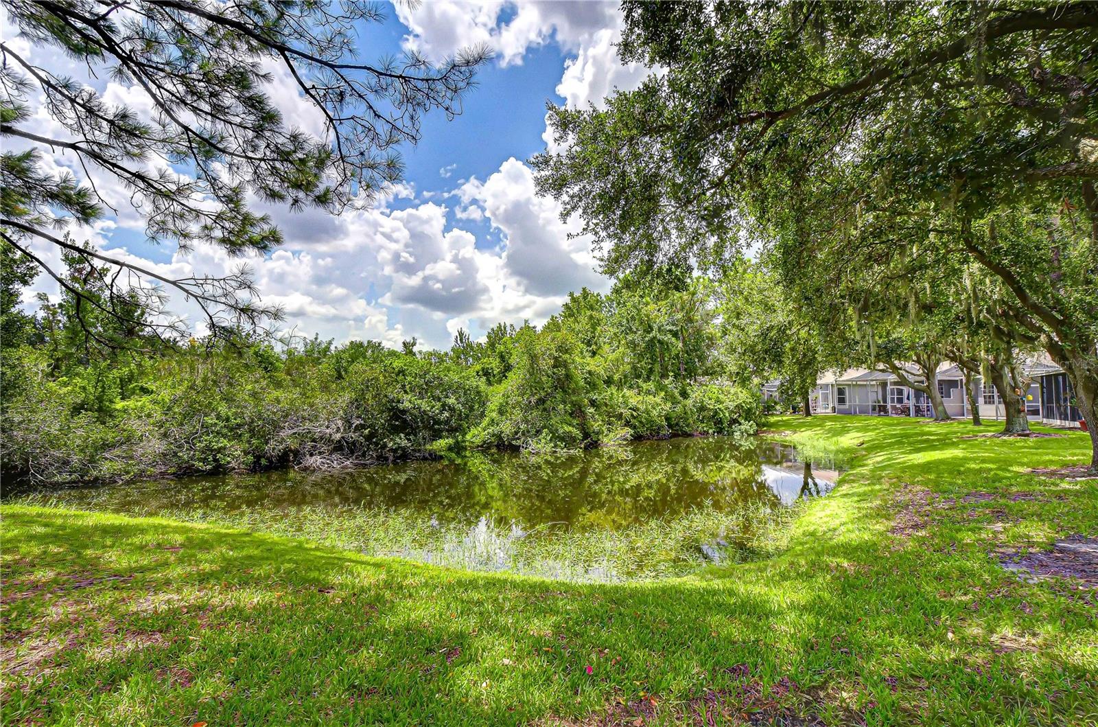 6026 Sandhill Ridge Dr Property Photo 28
