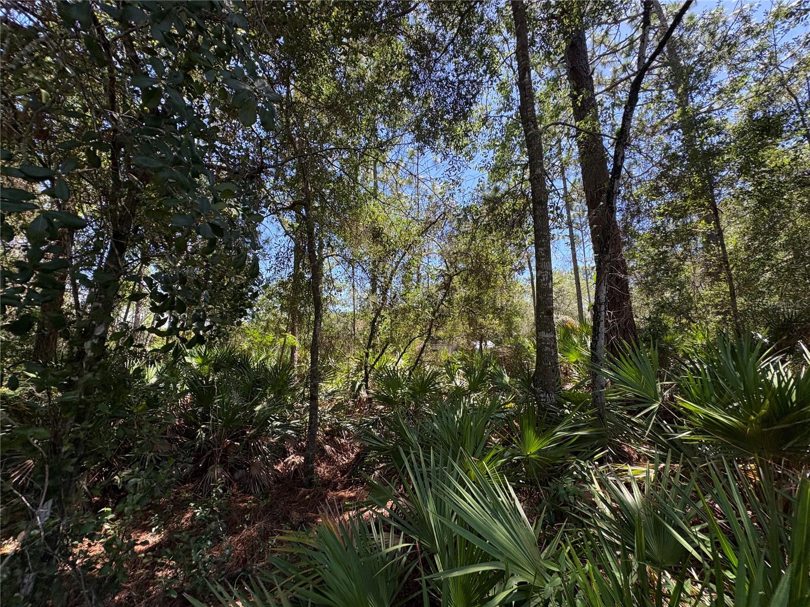 394 N Florene Pt Property Photo 6
