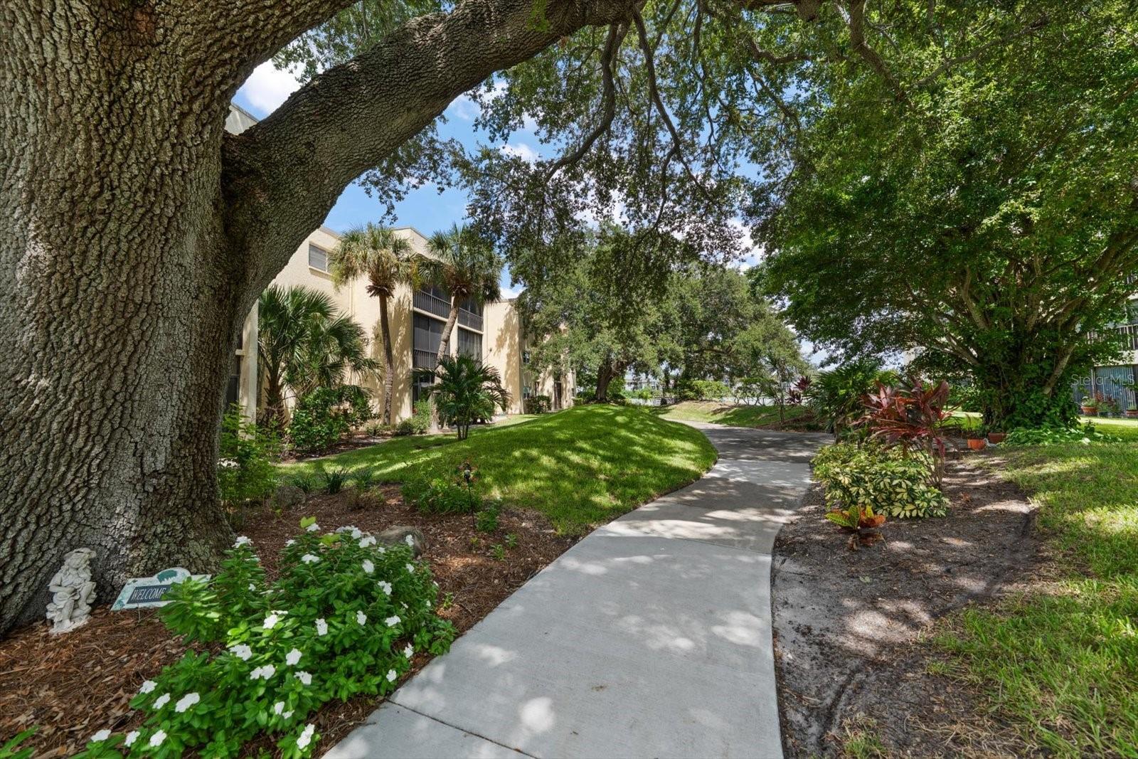 11485 Oakhurst Rd #1100-304 Property Photo 31