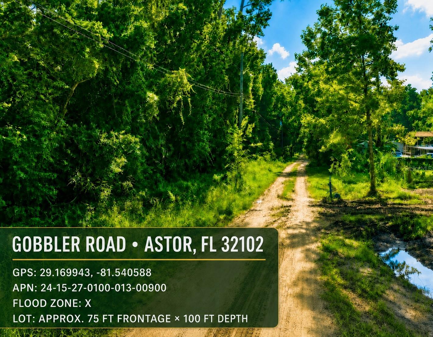 Gobbler Rd Property Photo 1