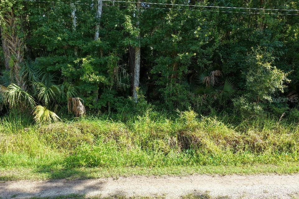 Gobbler Rd Property Photo 2