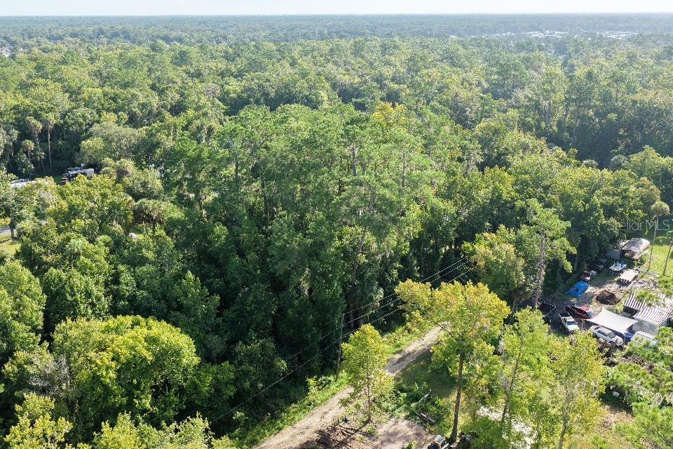 Gobbler Rd Property Photo 6