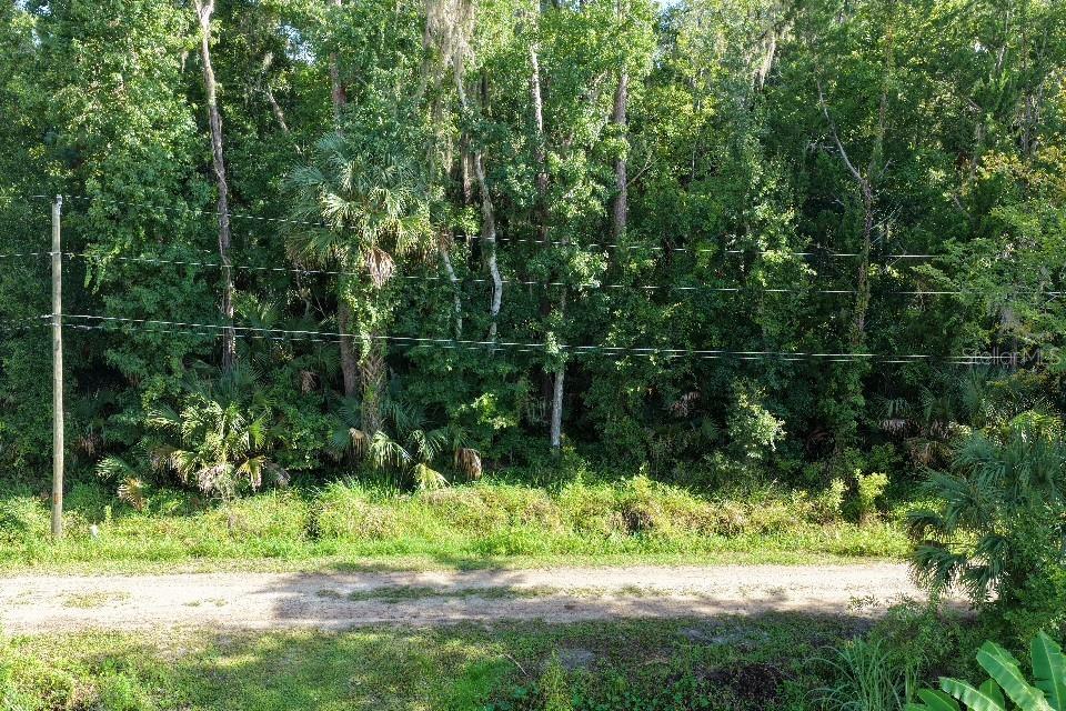 Gobbler Rd Property Photo 8