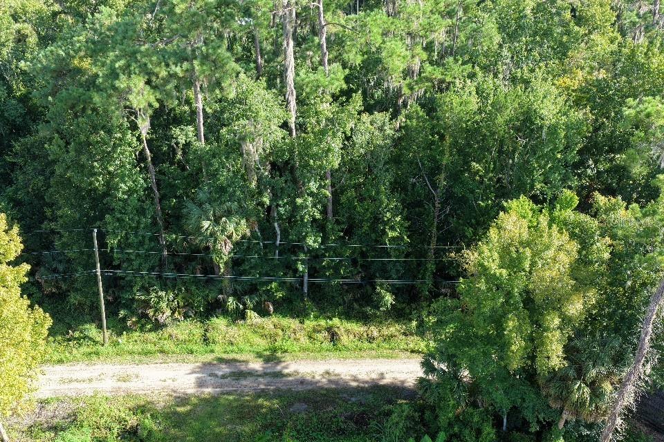 Gobbler Rd Property Photo 10