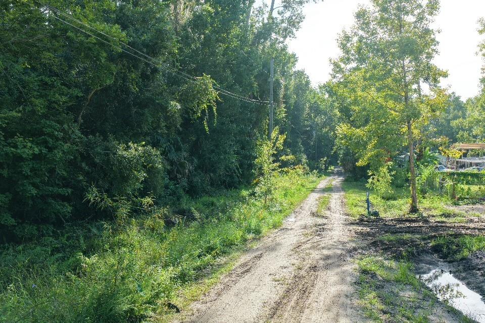 Gobbler Rd Property Photo 12