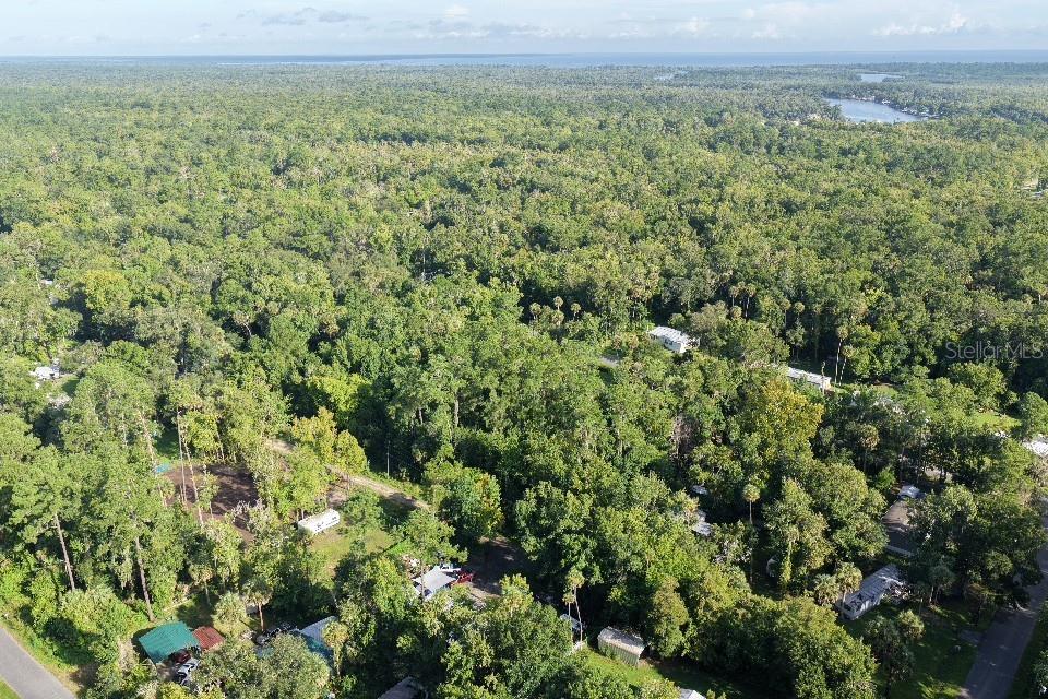 Gobbler Rd Property Photo 25