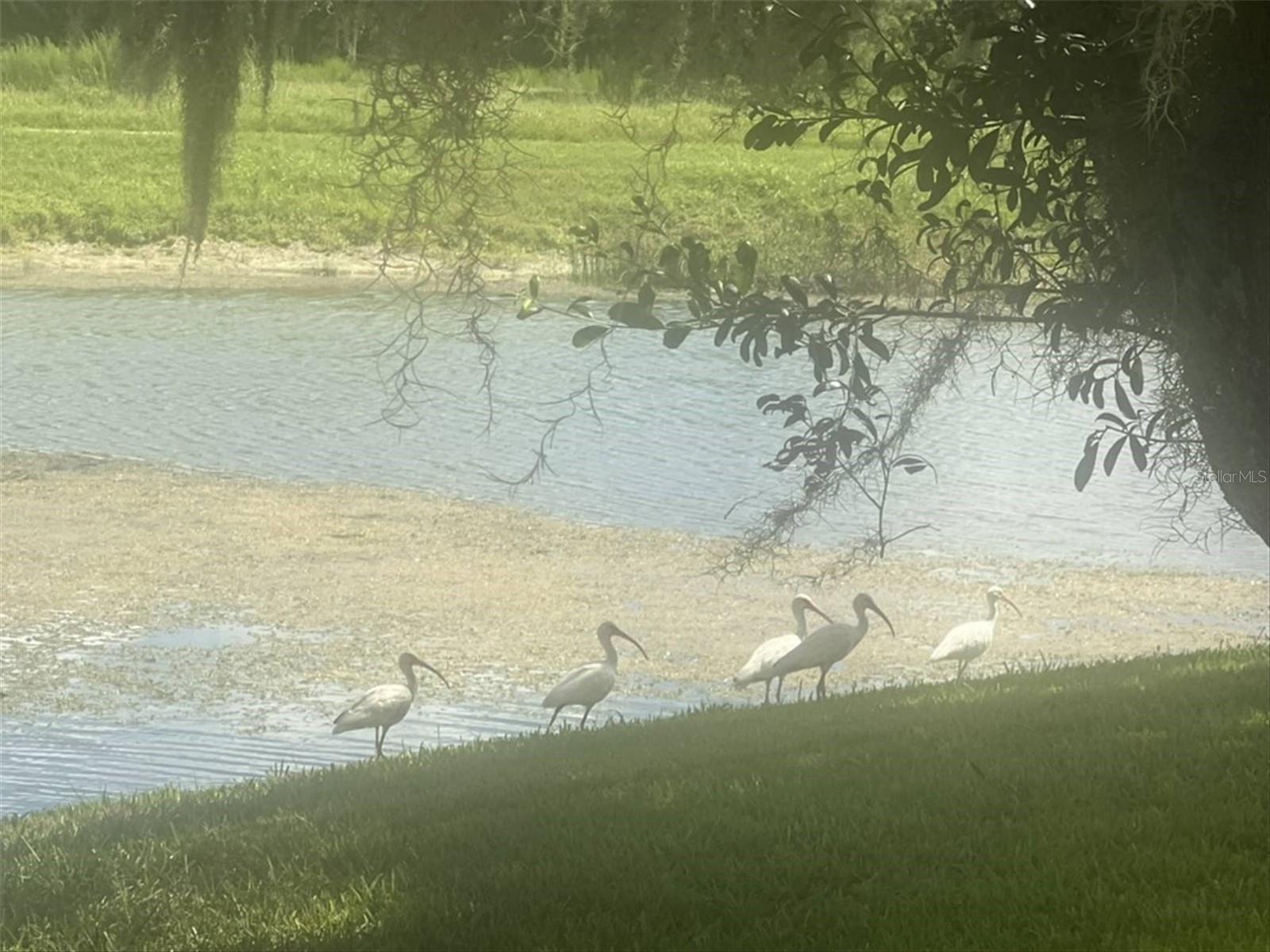 10706 Laquinta Dr Property Photo 43