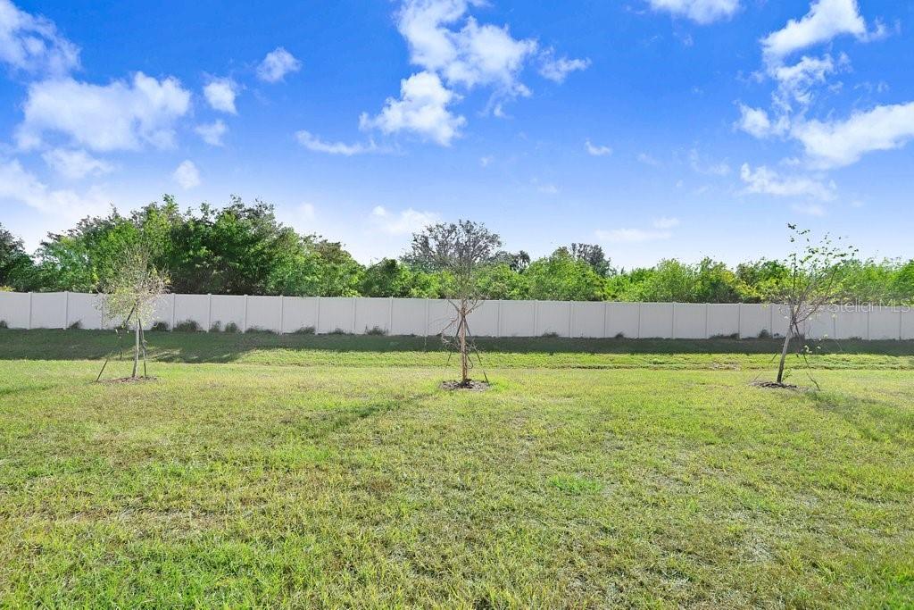 366 Mangrove Shade Cir Property Photo 25