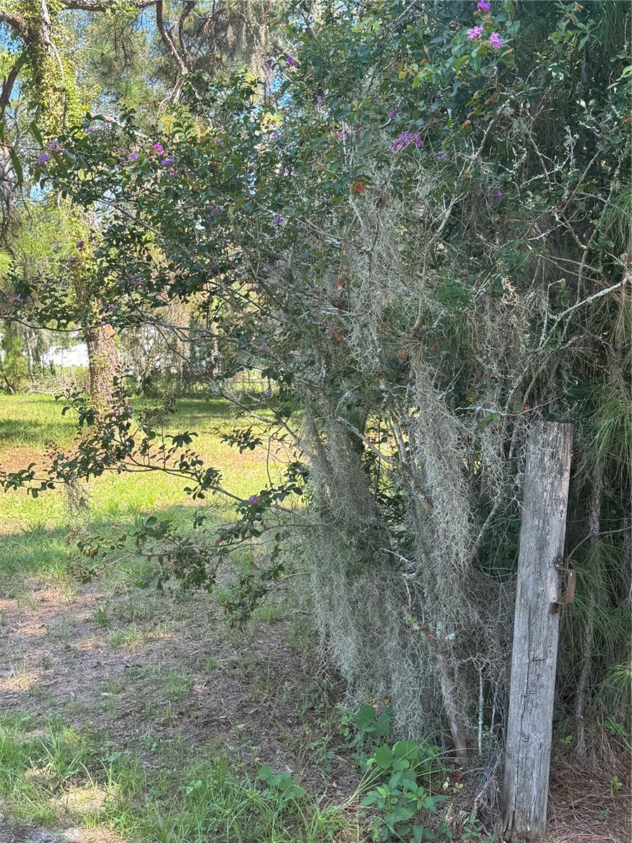 29244 Sanibel Dr Property Photo 7