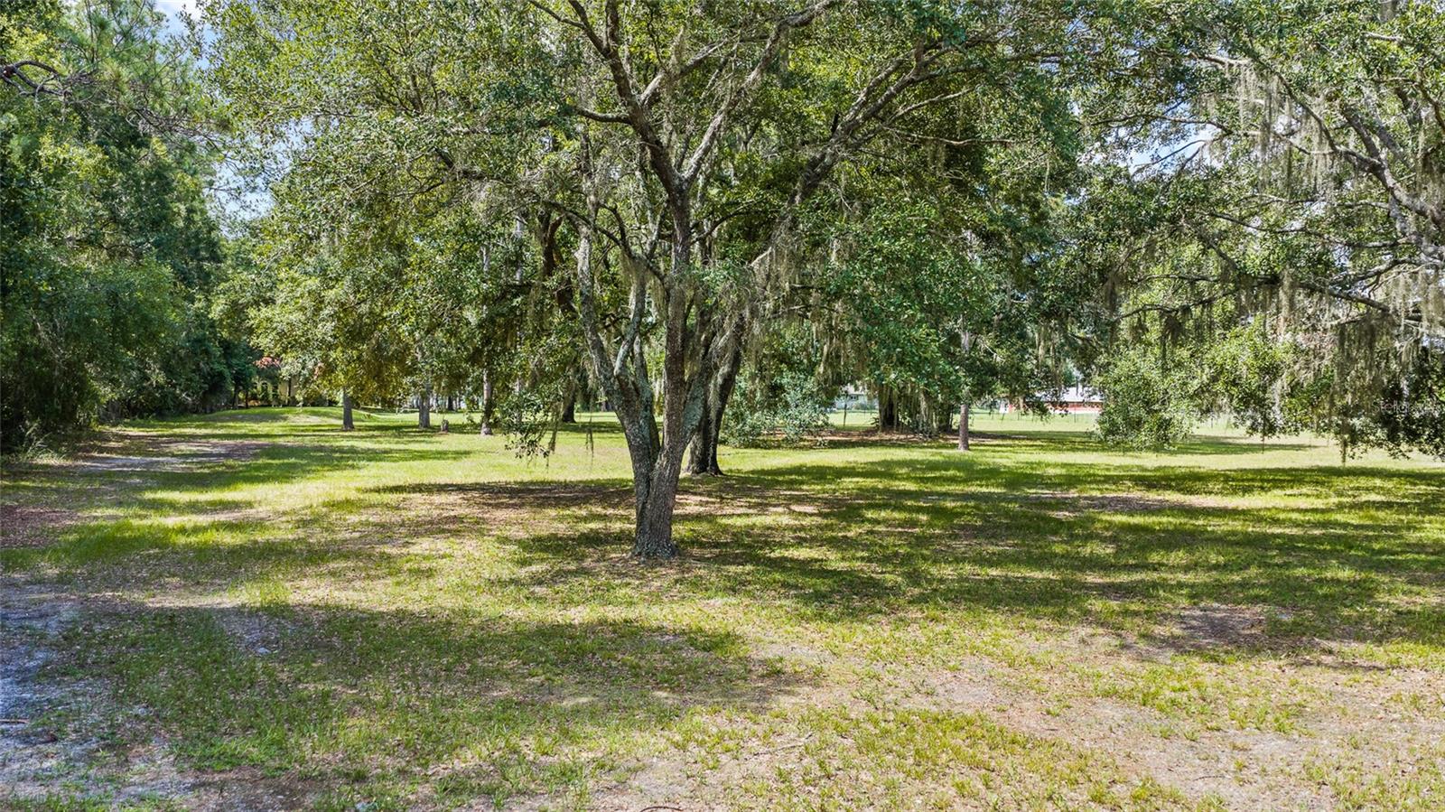 6800 Wisteria Loop Property Photo 89
