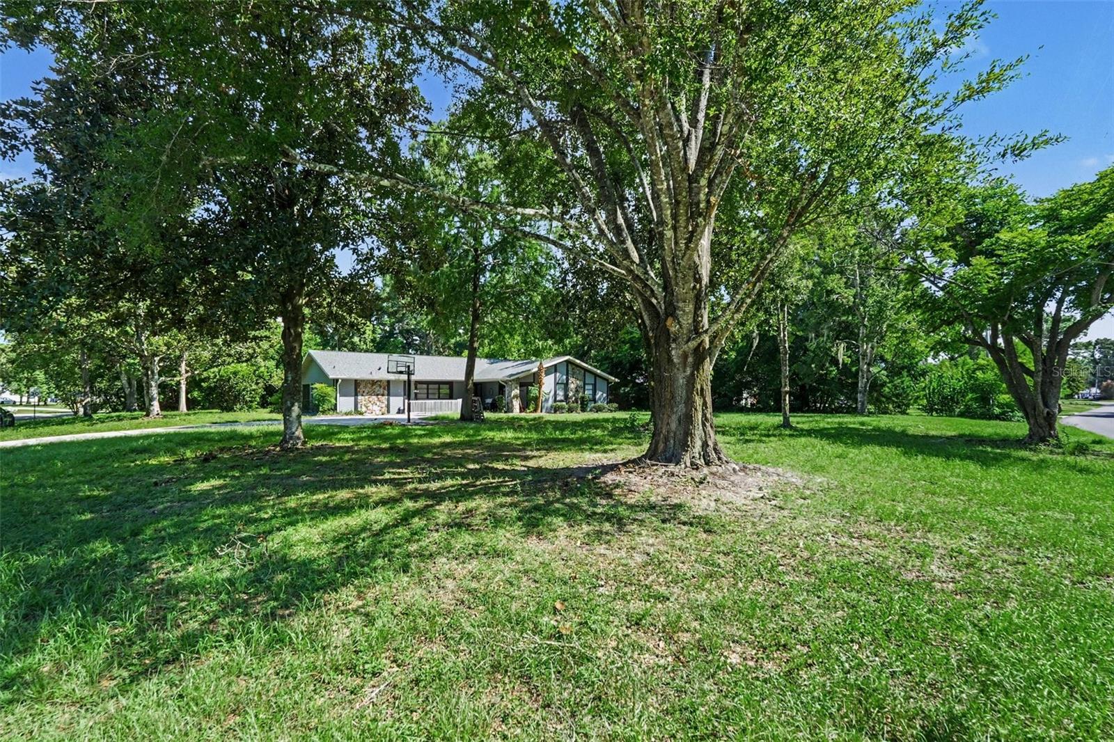 117 Byrsonima Cir Property Photo 3