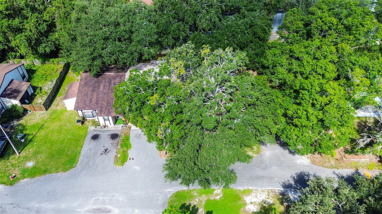 10306 Councils Way Property Photo 3
