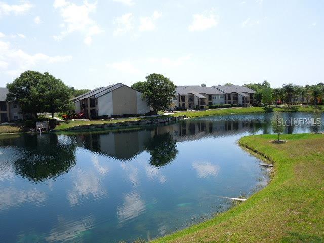500 Belcher Rd S #244 Property Photo 15