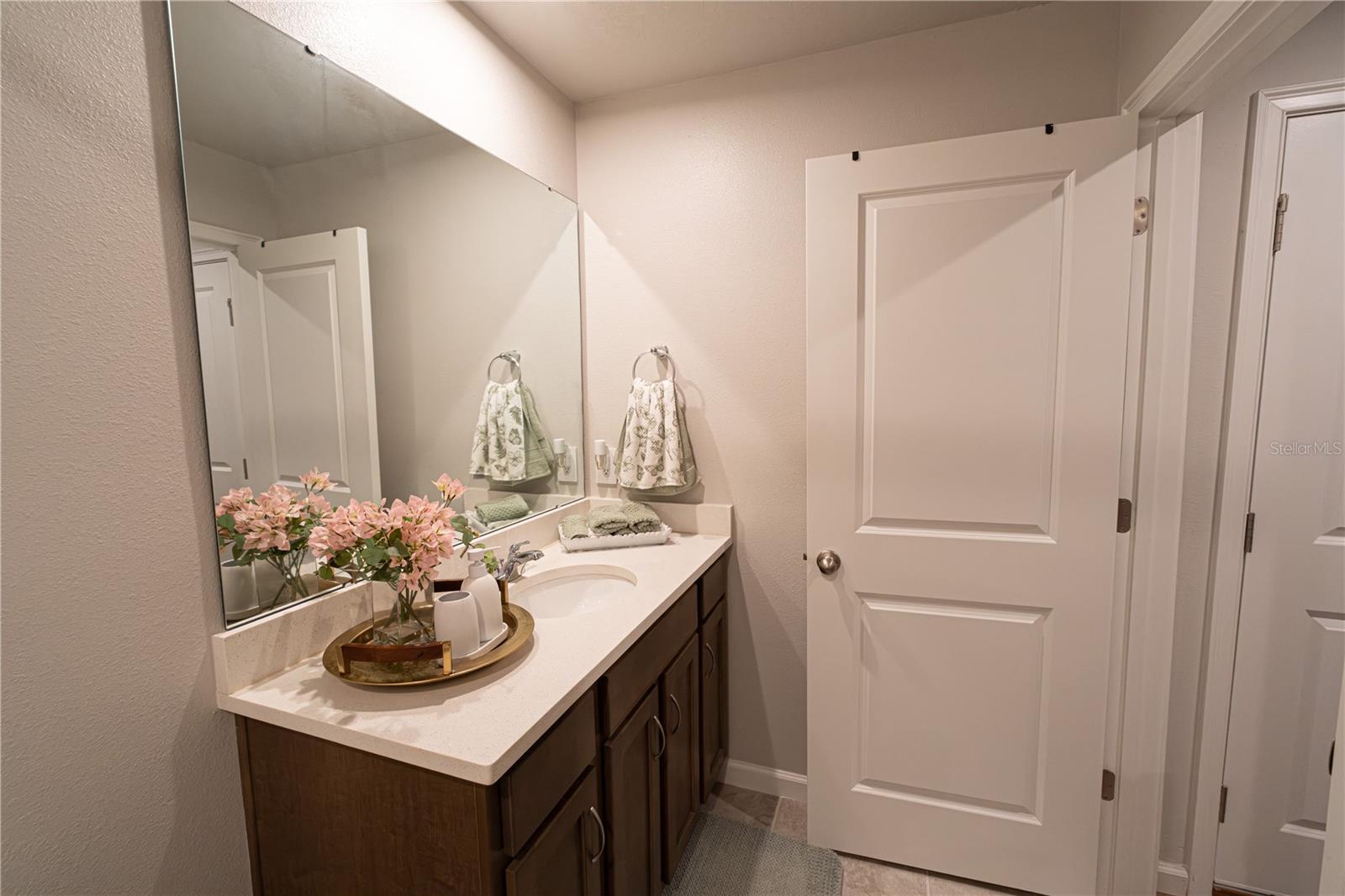 3216 Moonlit Lily Pl Property Photo 16