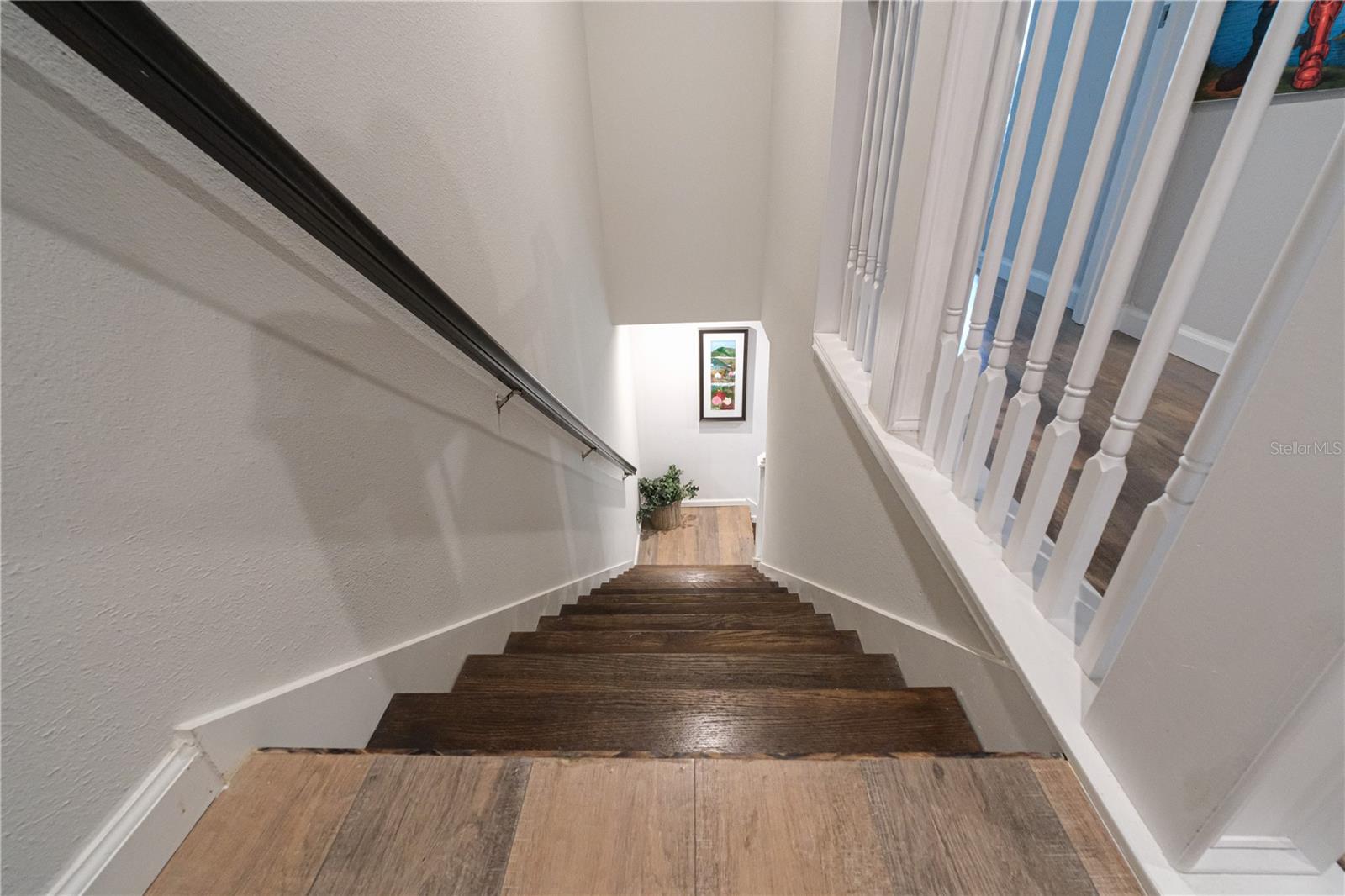 3216 Moonlit Lily Pl Property Photo 26