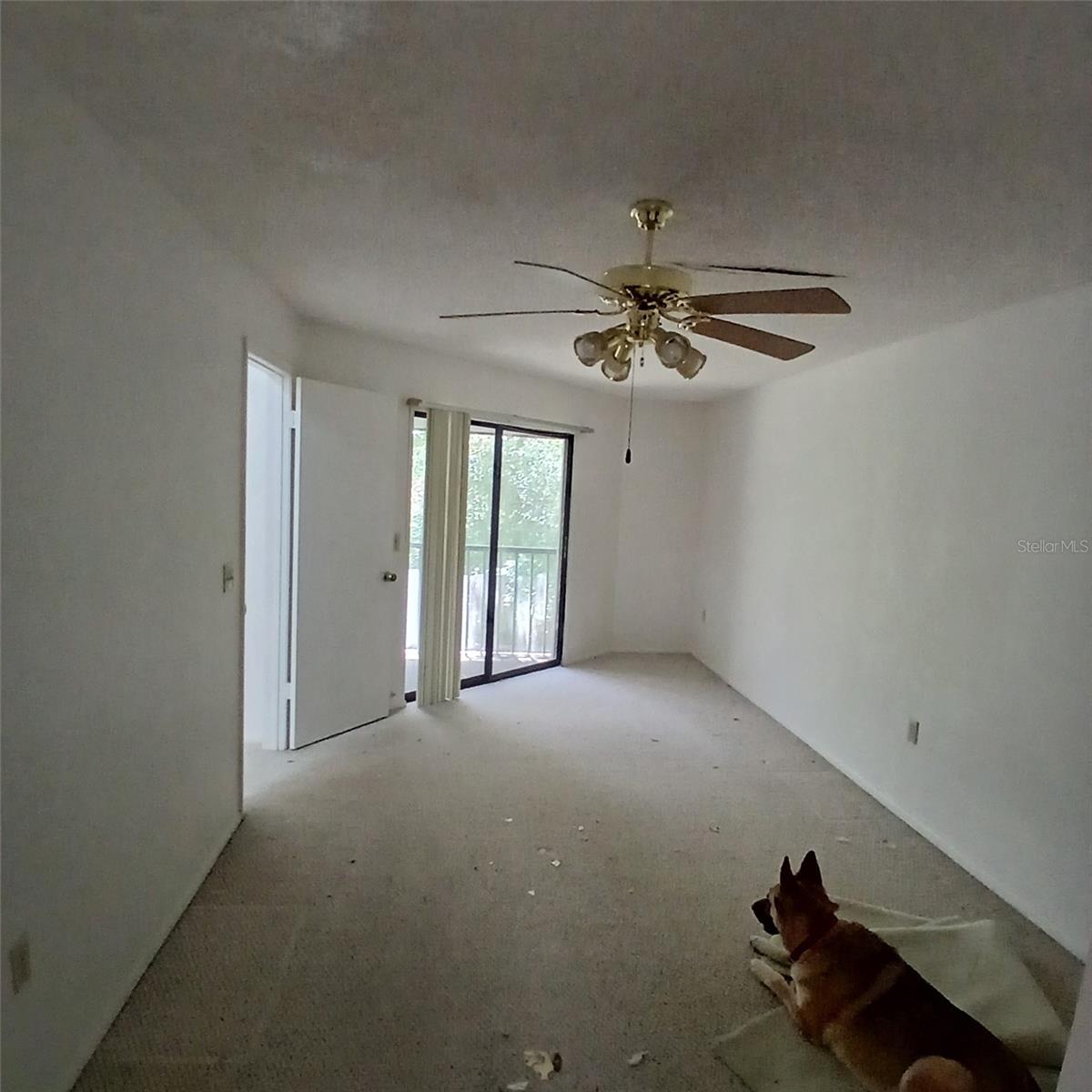9362 Nakoma Way Property Photo 2