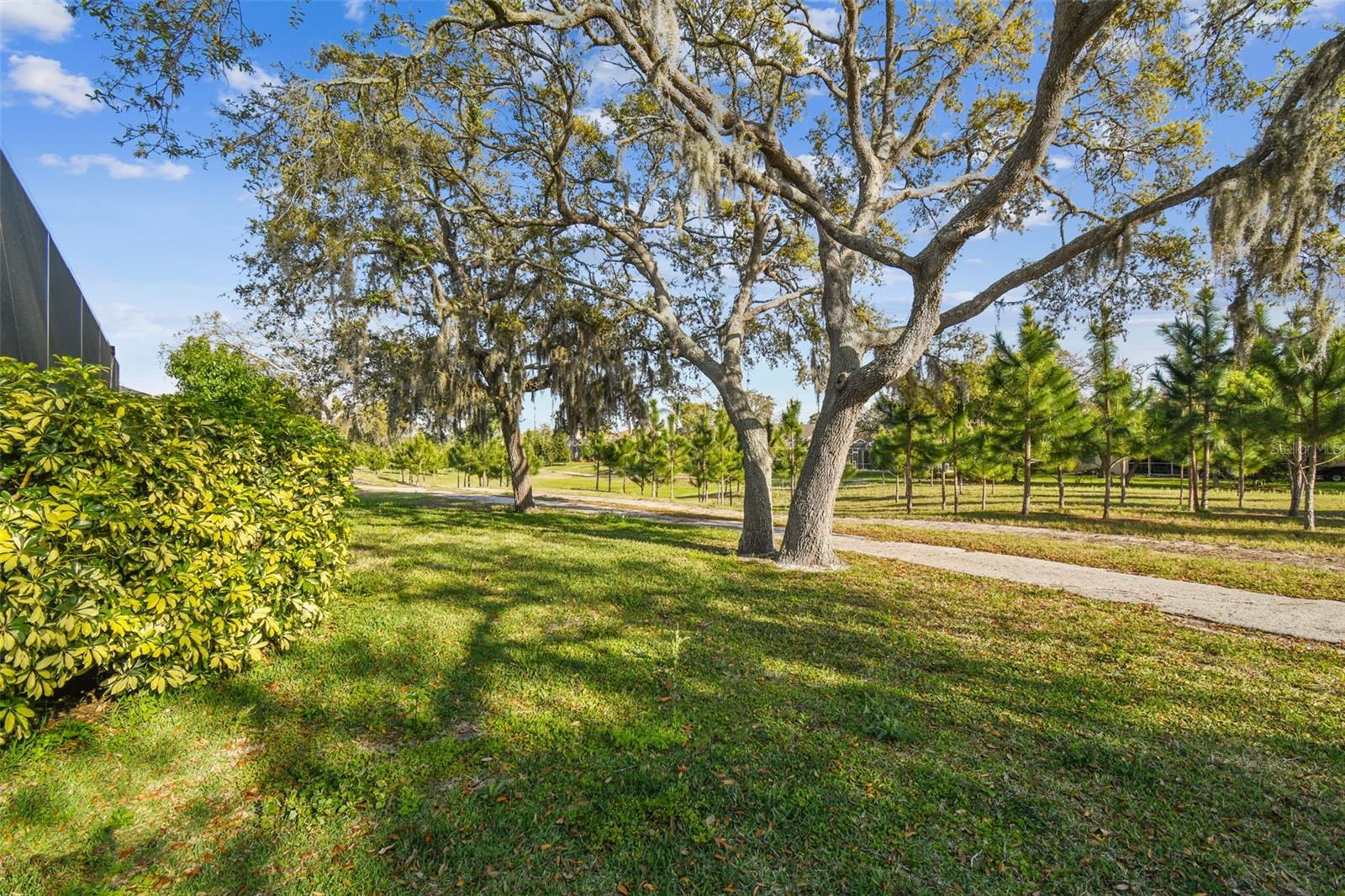 8818 Poe Dr Property Photo 59