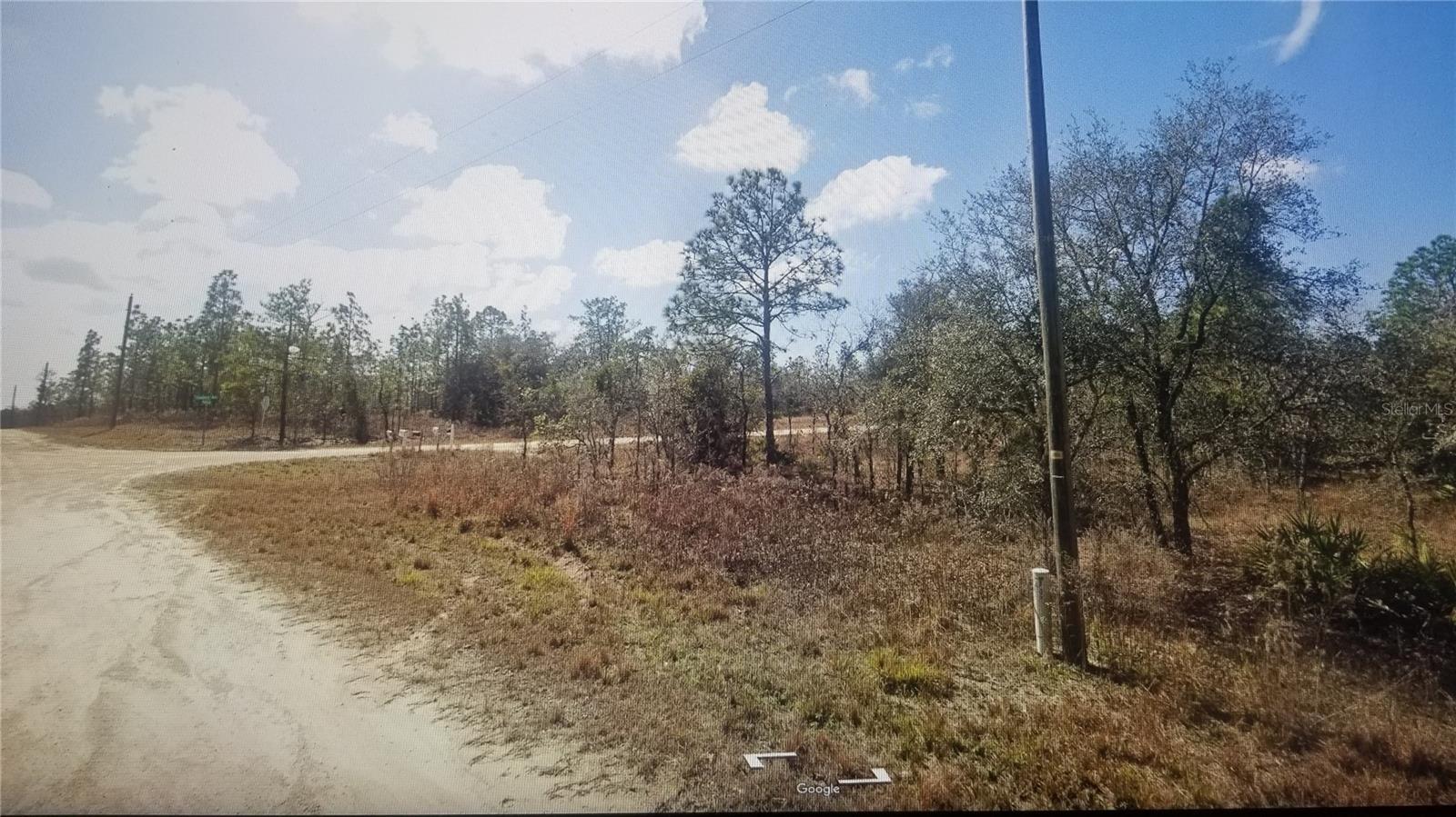 Tinamou Ave Property Photo 1