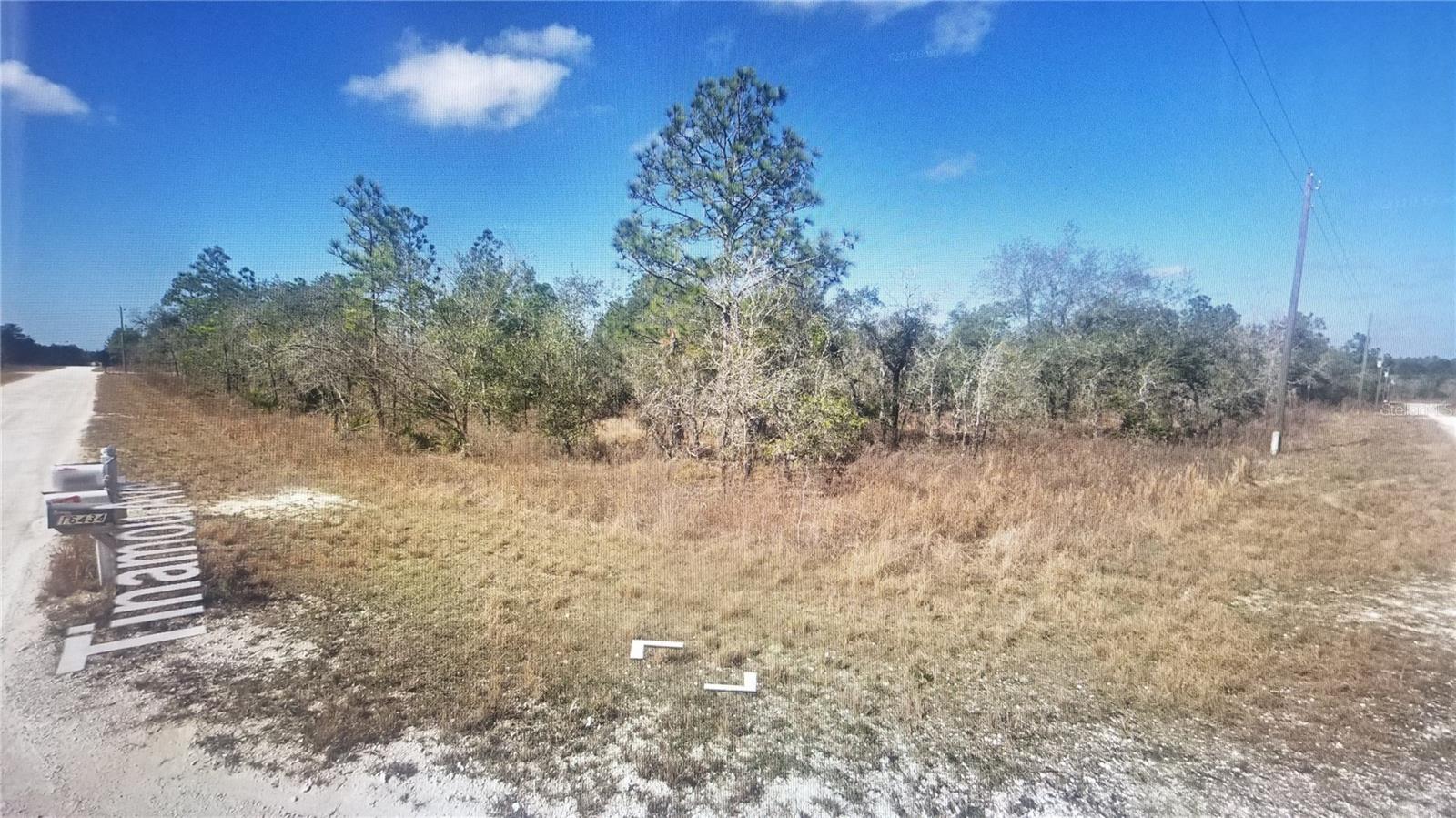 Tinamou Ave Property Photo 3