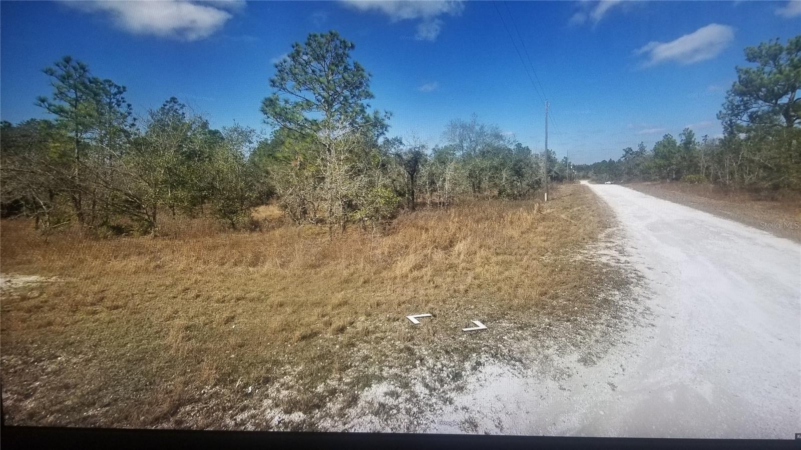 Tinamou Ave Property Photo 4