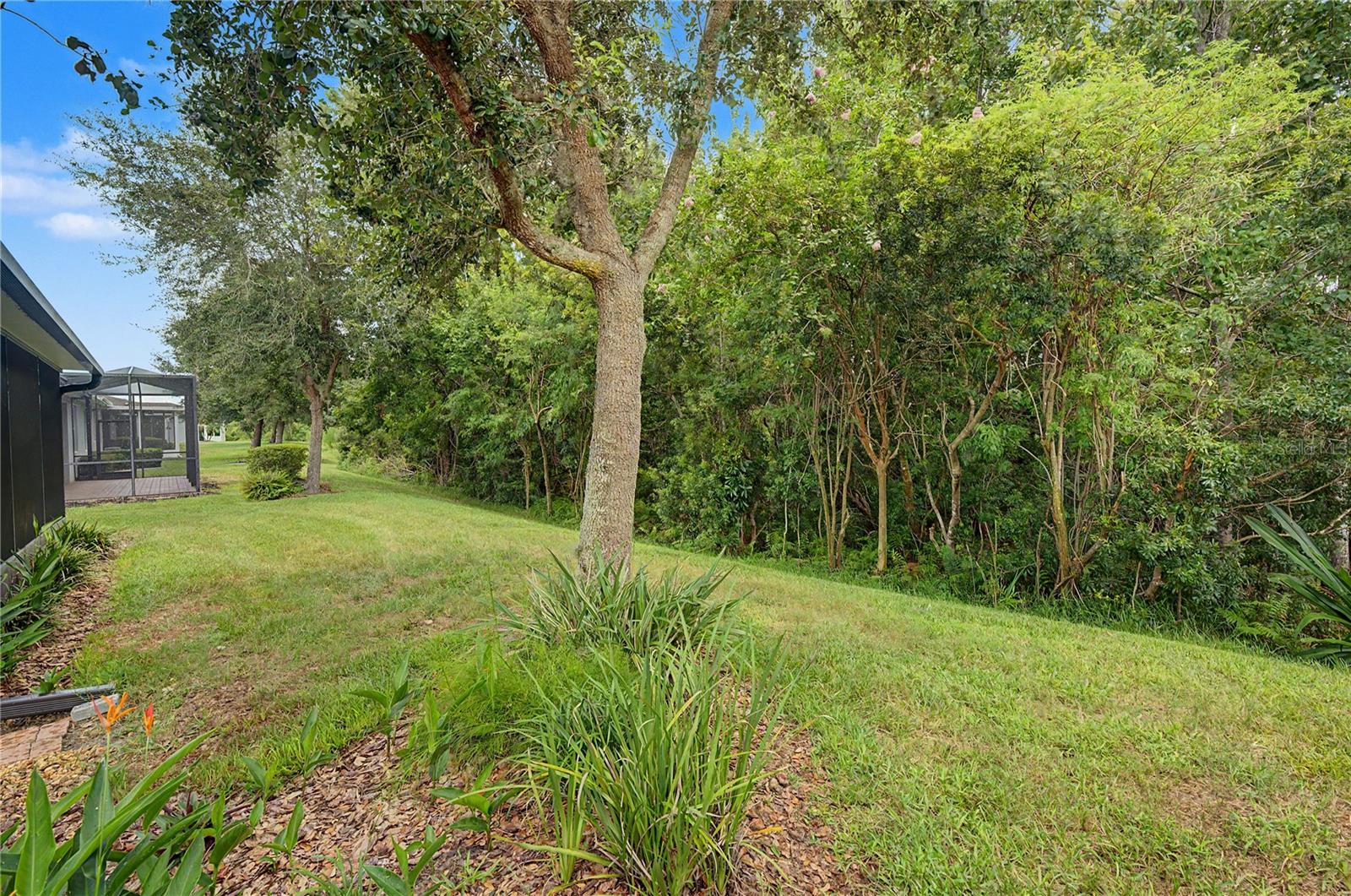29358 Grass Bunker Dr Property Photo 30