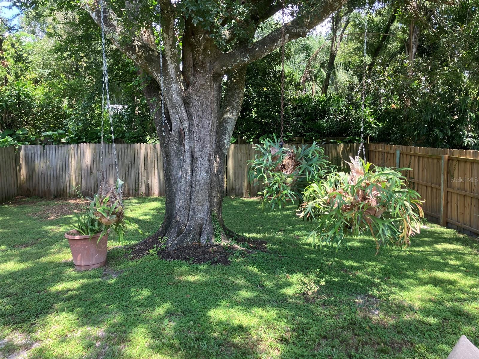 3440 Laurel Dale Dr Property Photo 17