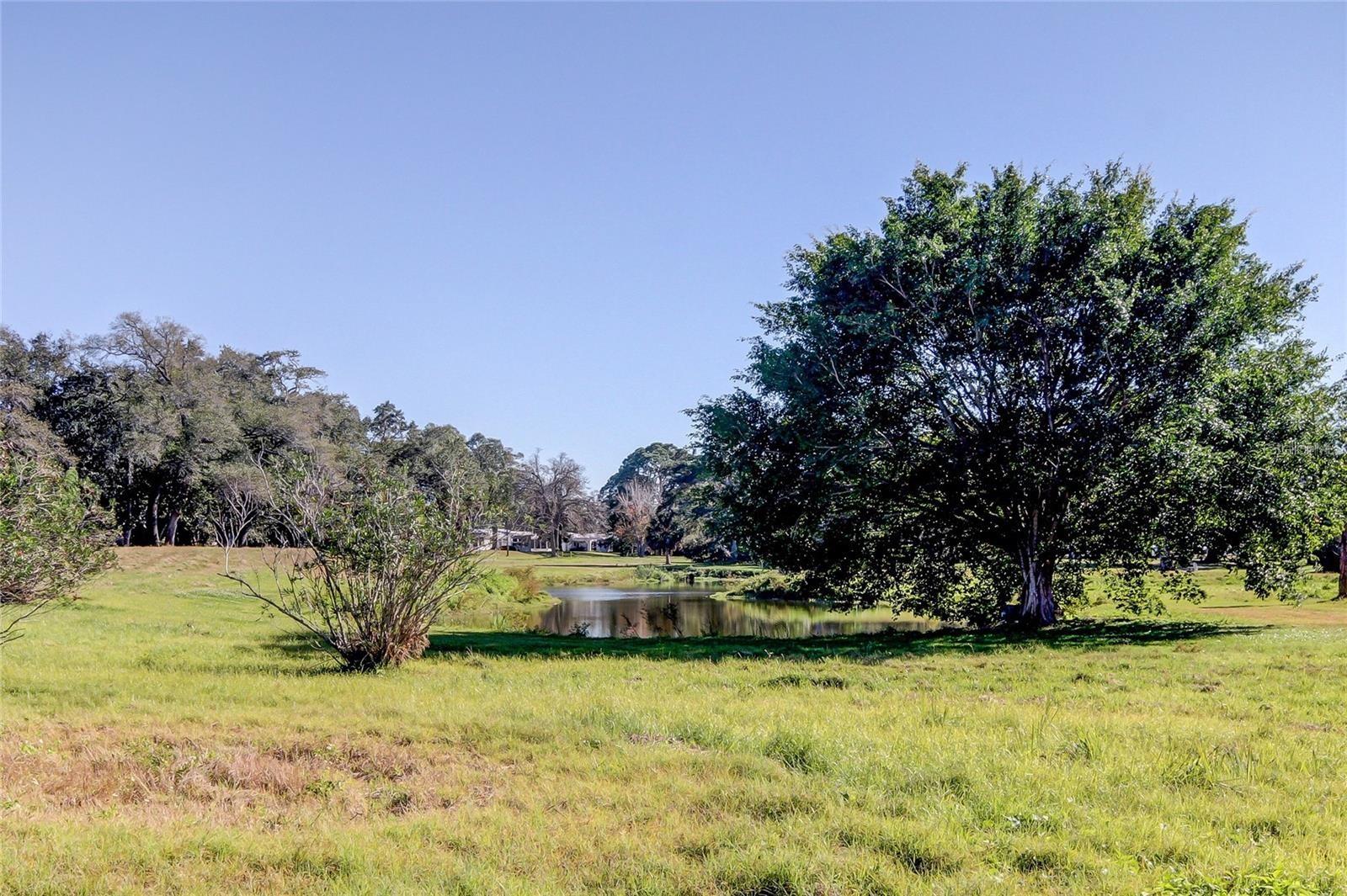9433 Harbor Greens Way #404 Property Photo 25