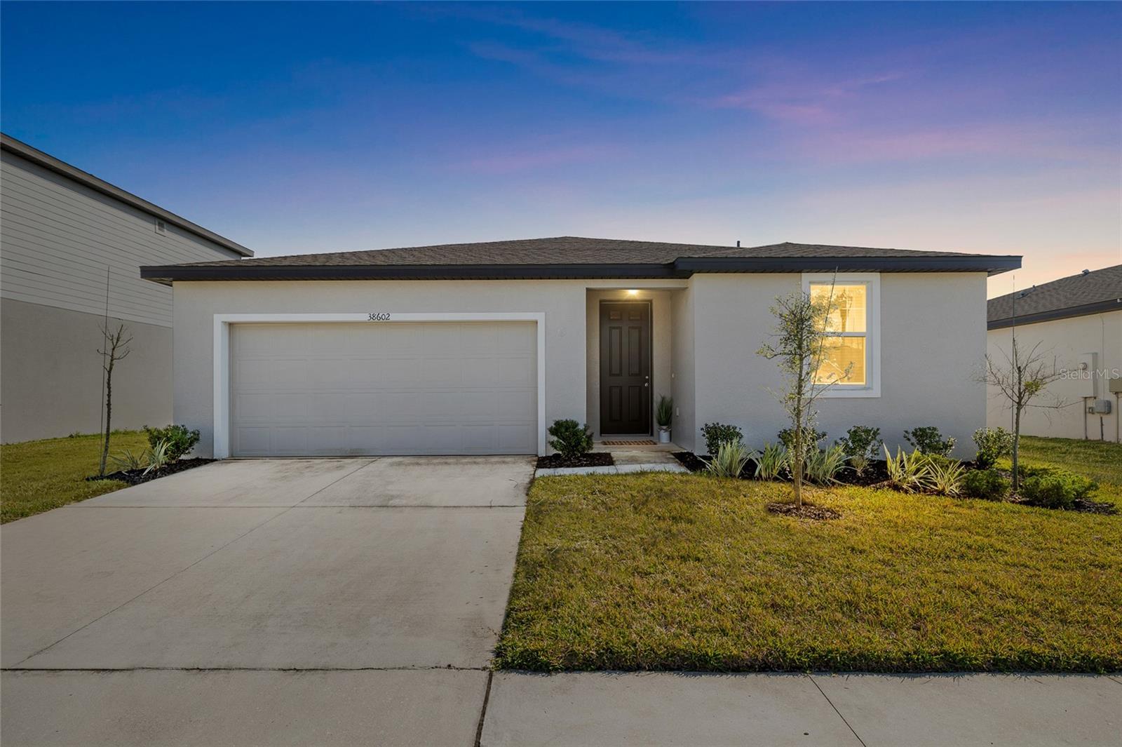 38602 Finn Clover Ln Property Photo 1