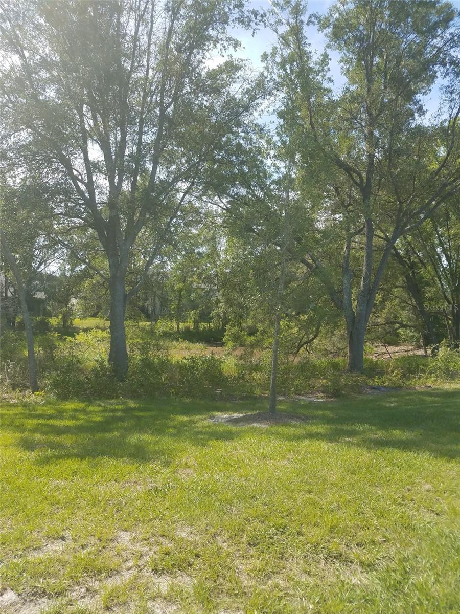14263 Damselfly Dr Property Photo 40
