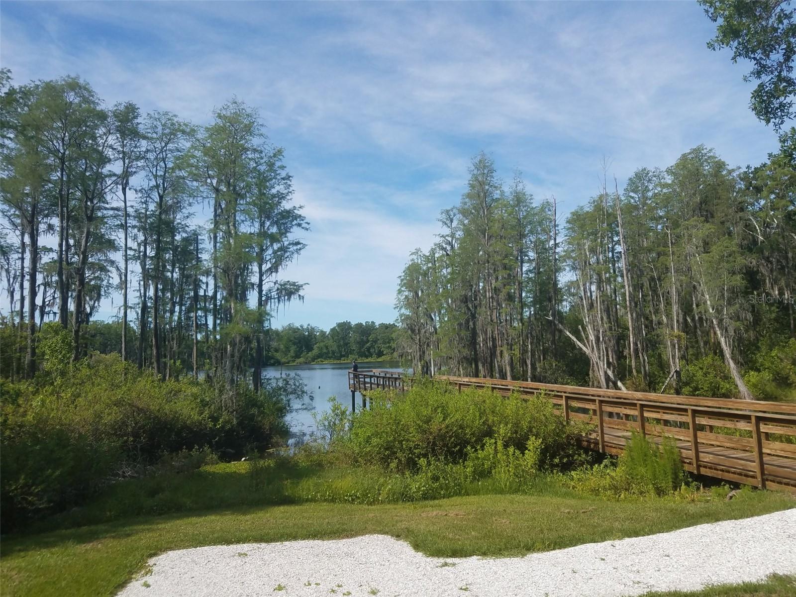14263 Damselfly Dr Property Photo 43