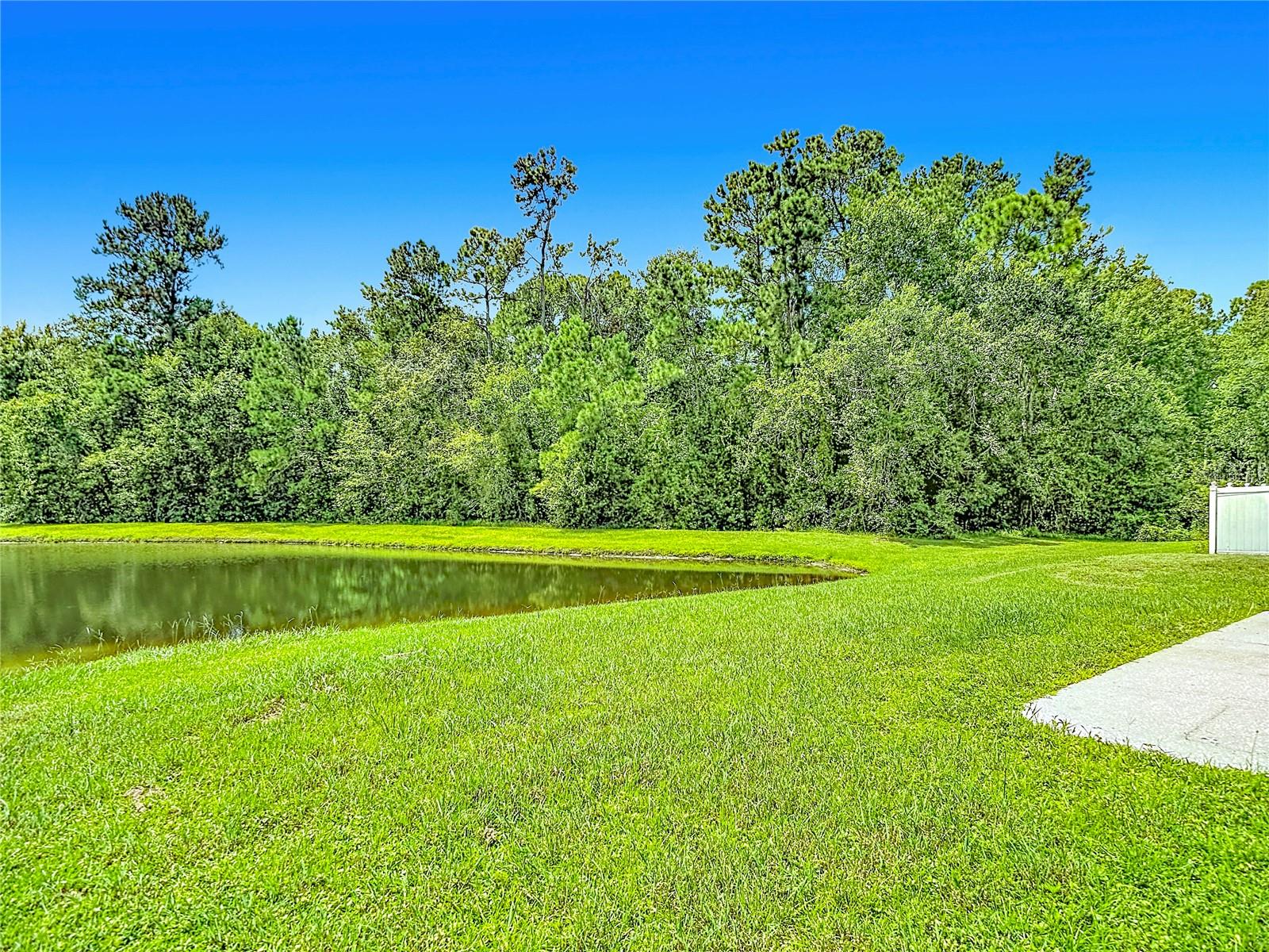 6451 Tabogi Trl Property Photo 47