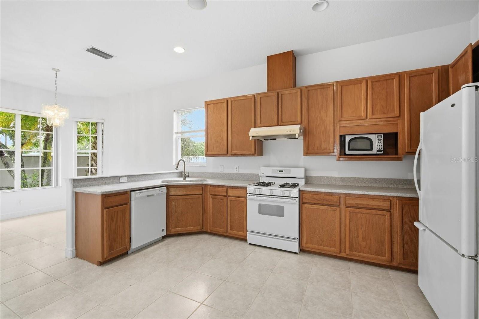 14902 Devonshire Woods Pl Property Photo 25