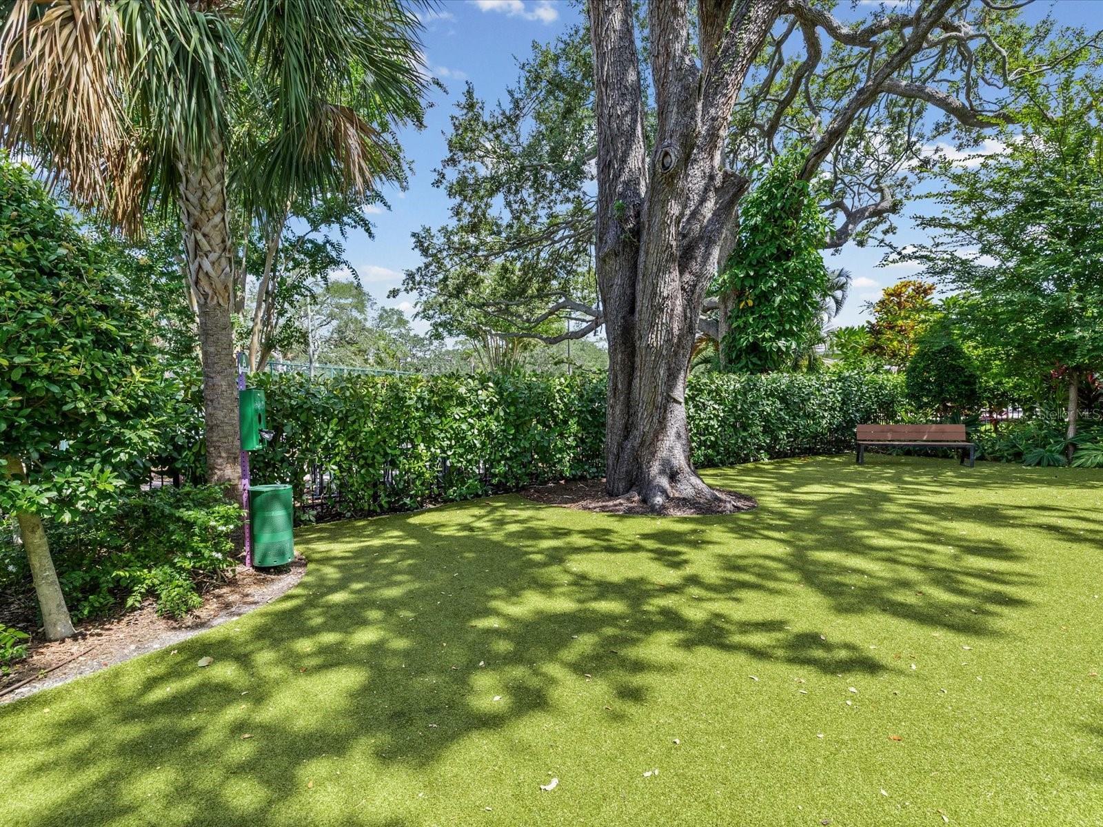 2619 Bayshore Blvd #900 Property Photo 26