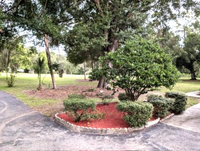 13247 Riada Way Property Photo 6