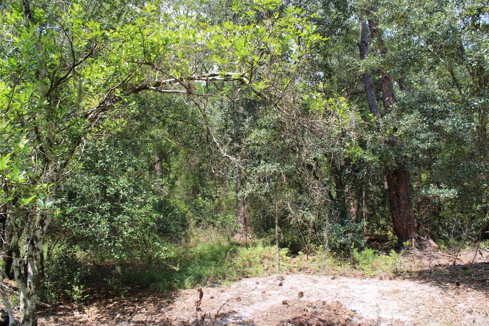 1217 IRIS AVE Property Photo 1