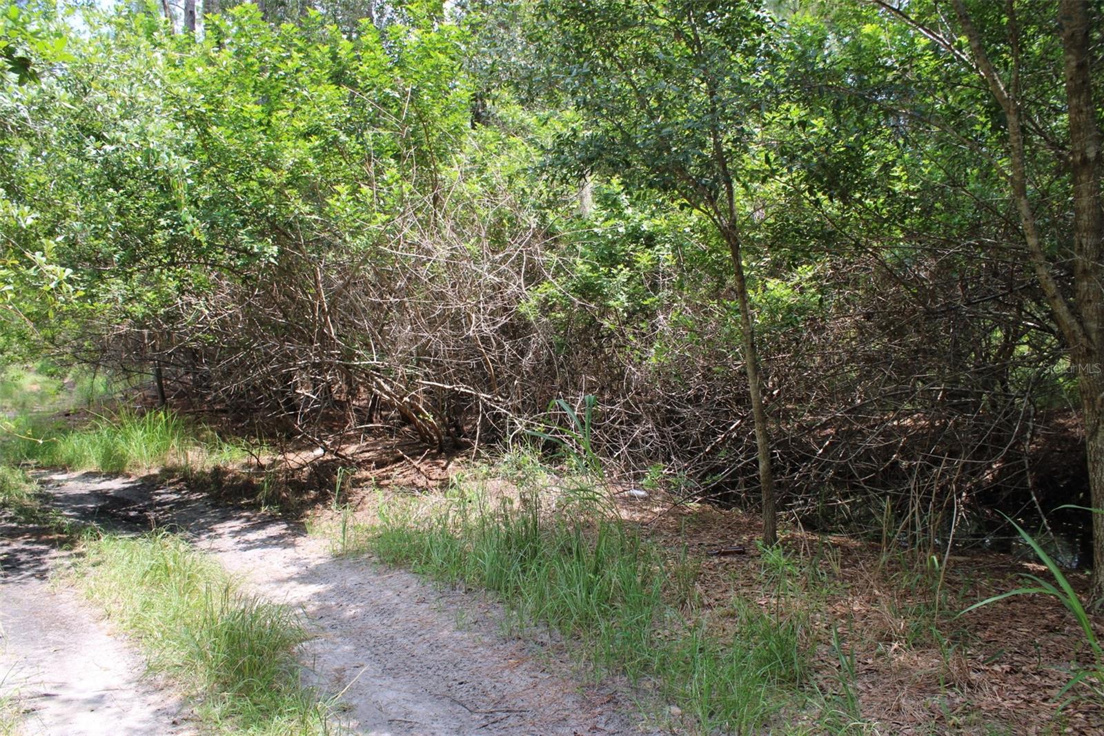 1217 Iris Ave Property Photo 2