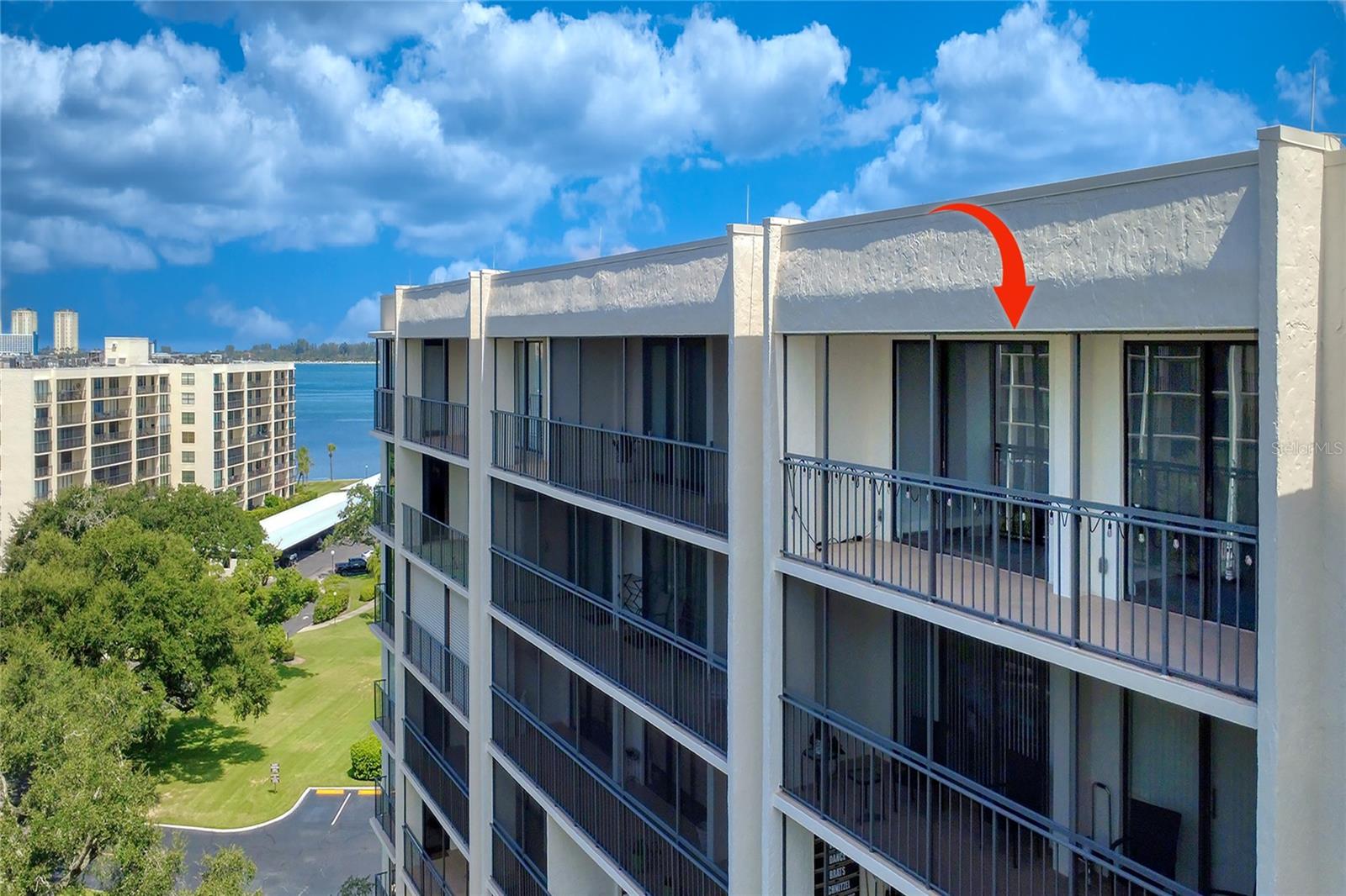 220 Belleview Blvd #812 Property Photo 46