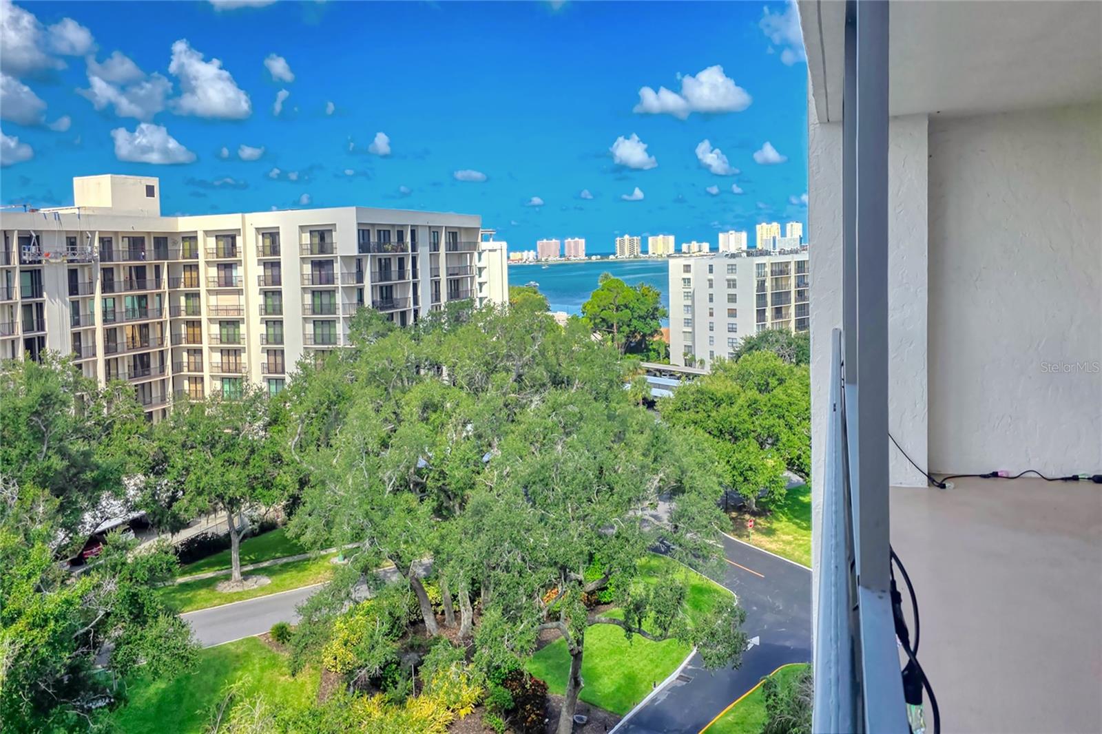 220 Belleview Blvd #812 Property Photo 57