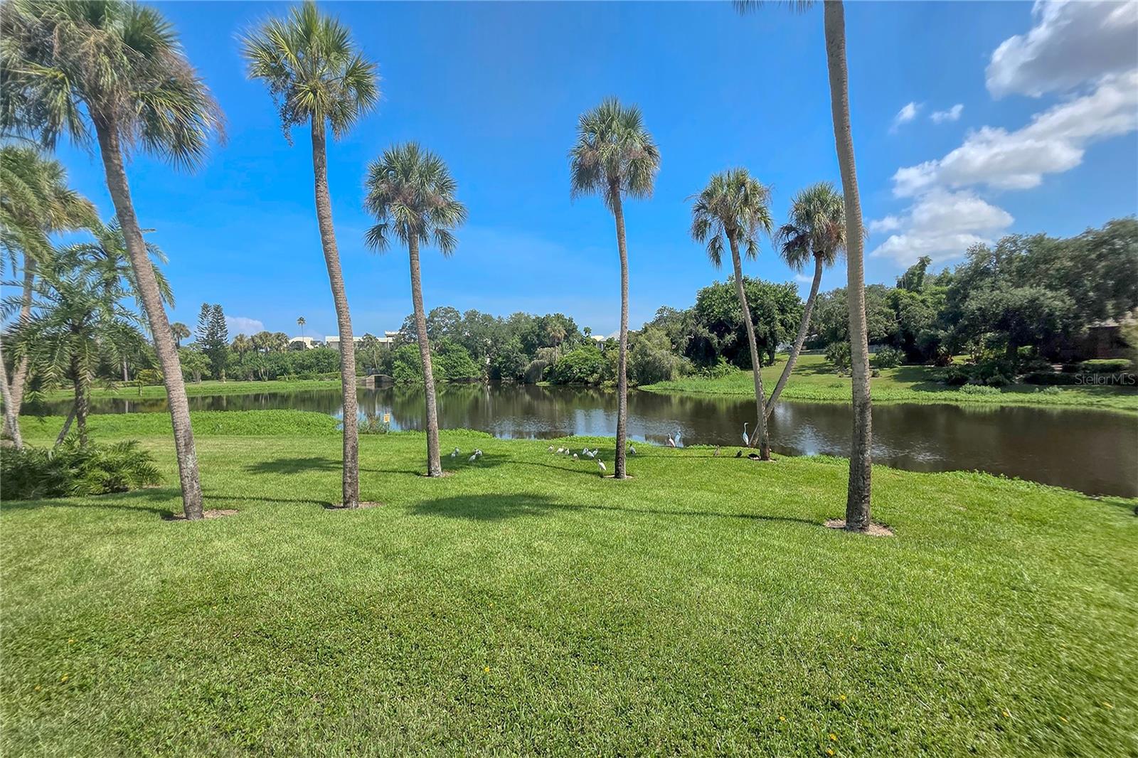 220 Belleview Blvd #812 Property Photo 67