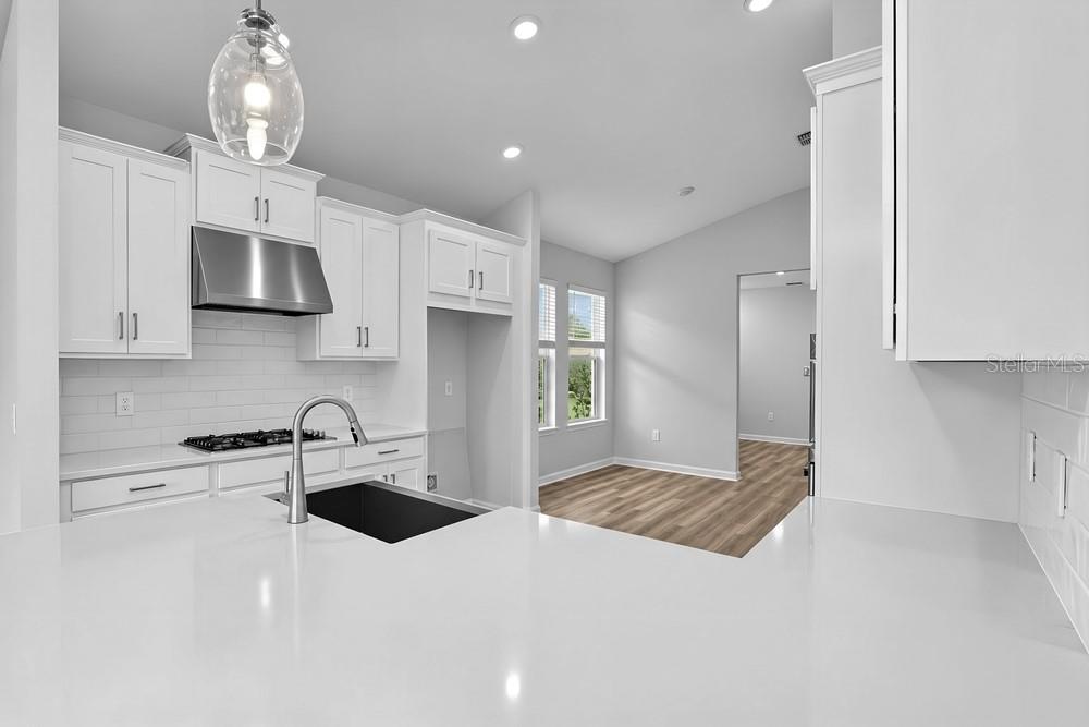 14246 Sawmill St Property Photo 19
