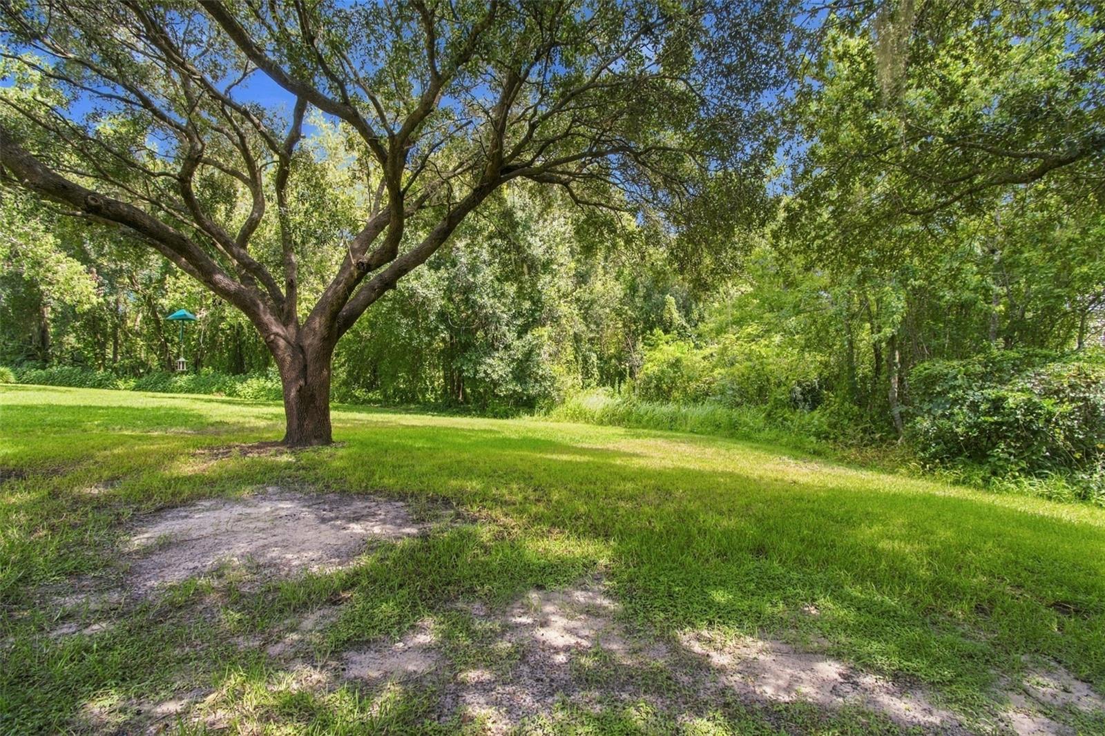 6901 Aqueduct Ter Property Photo 62