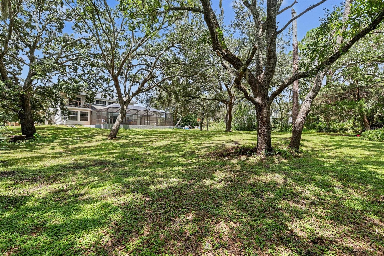 10703 Gallop Pl Property Photo 19